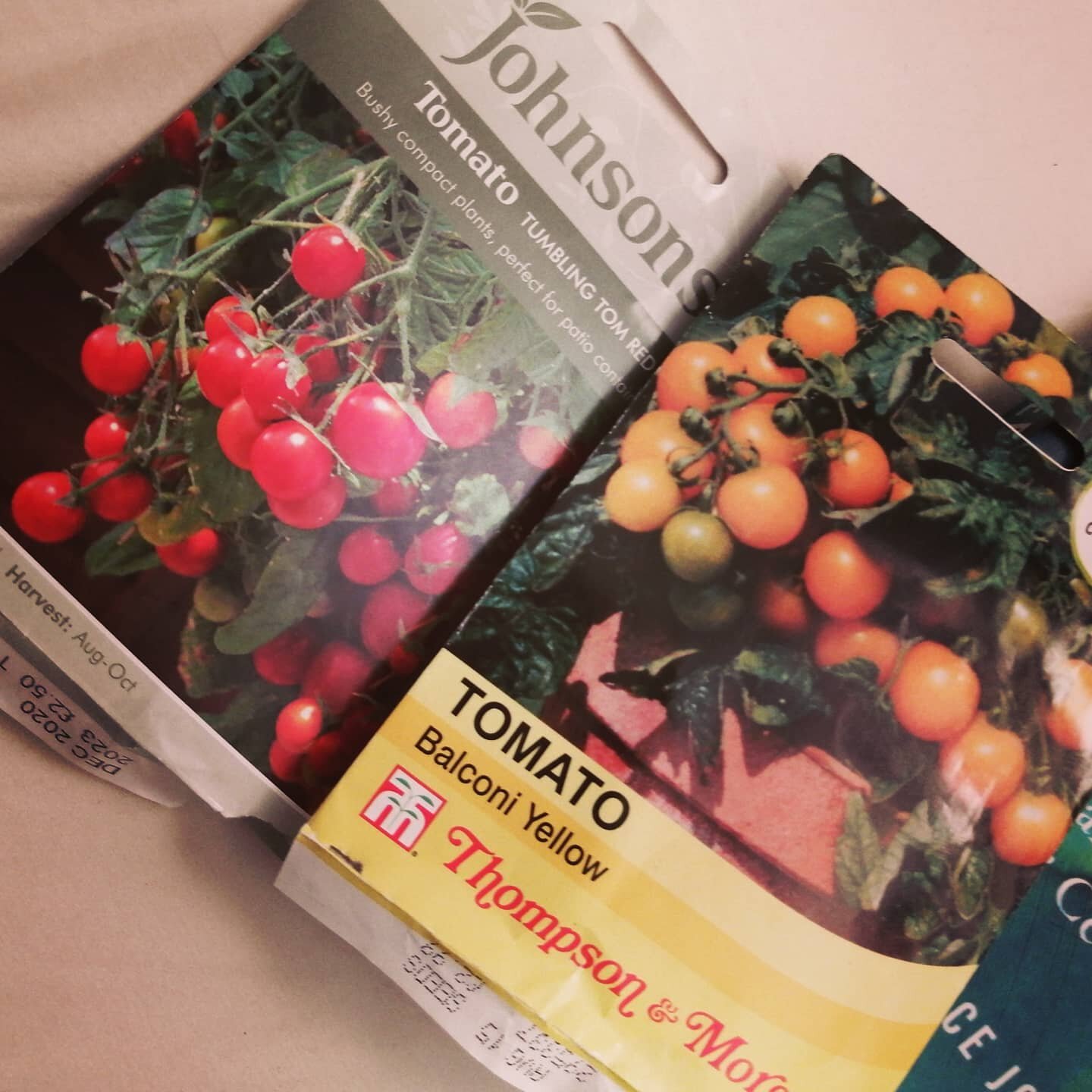 If any other health/key worker peeps want a plant I'll grow it until your ready for it. Tomatoes, chillies, cucumber.... random seeds from tasty things I find in the next few months.... Just let me know.