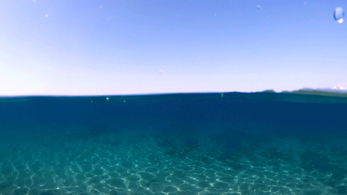 Sea Surface Microlayer