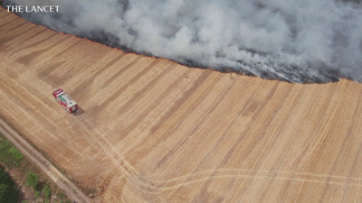 The Planetary Health Diet