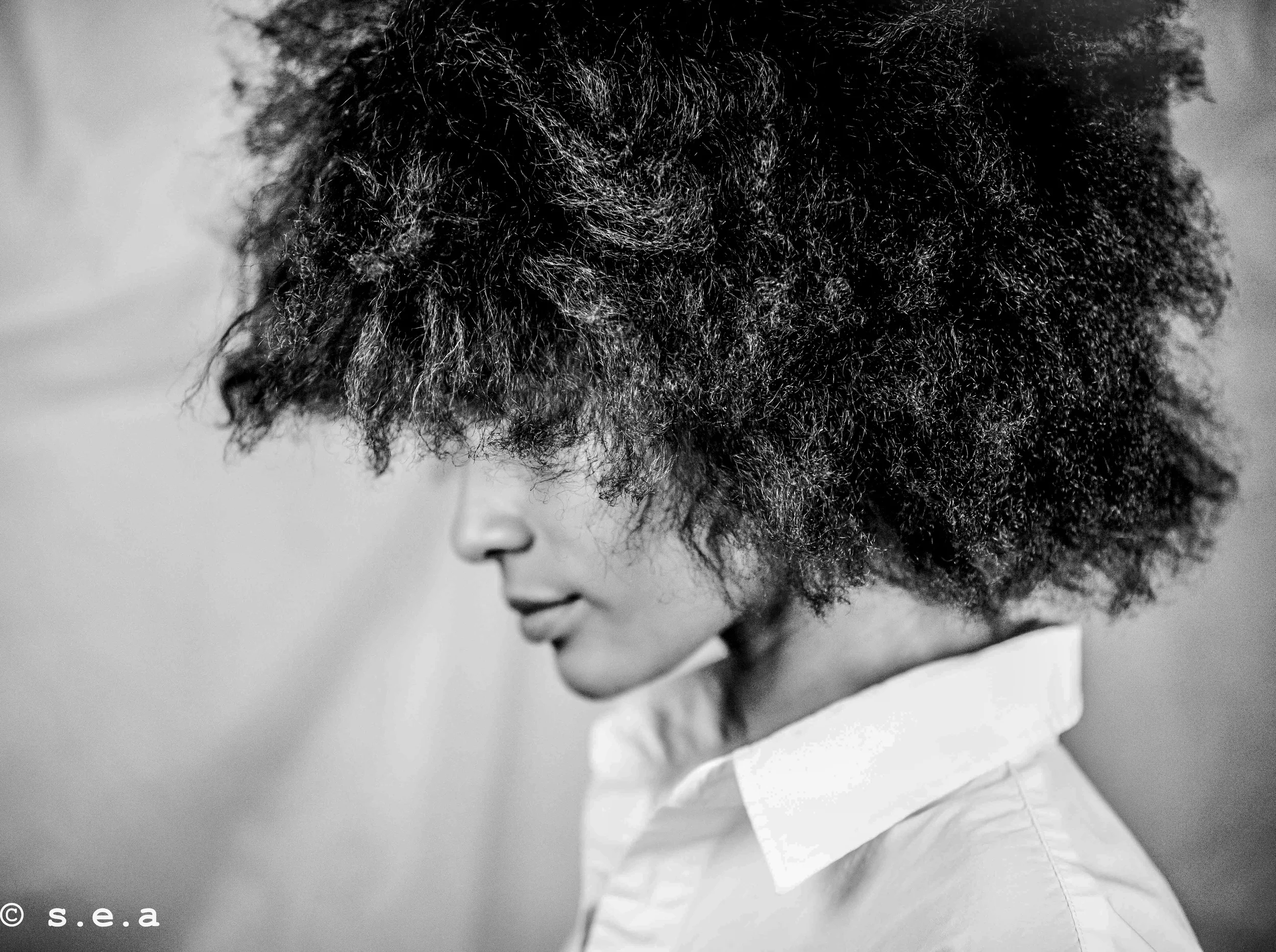   Jamila Raegan &nbsp; &nbsp; -Artist /Musician &nbsp; &nbsp;  