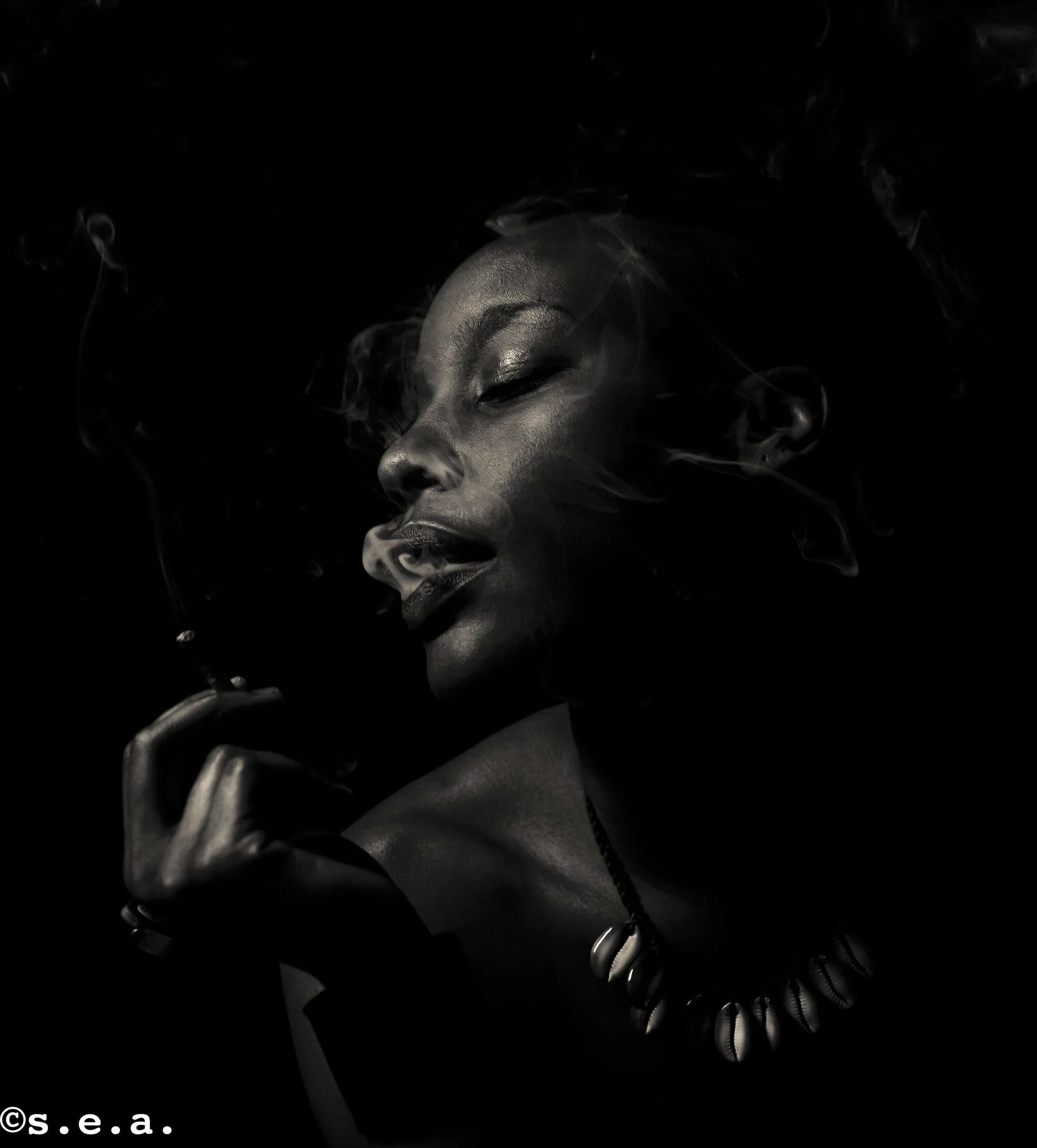 DeAriesha_Smoke_Edits-1.5.2017 (3 of 4).jpg