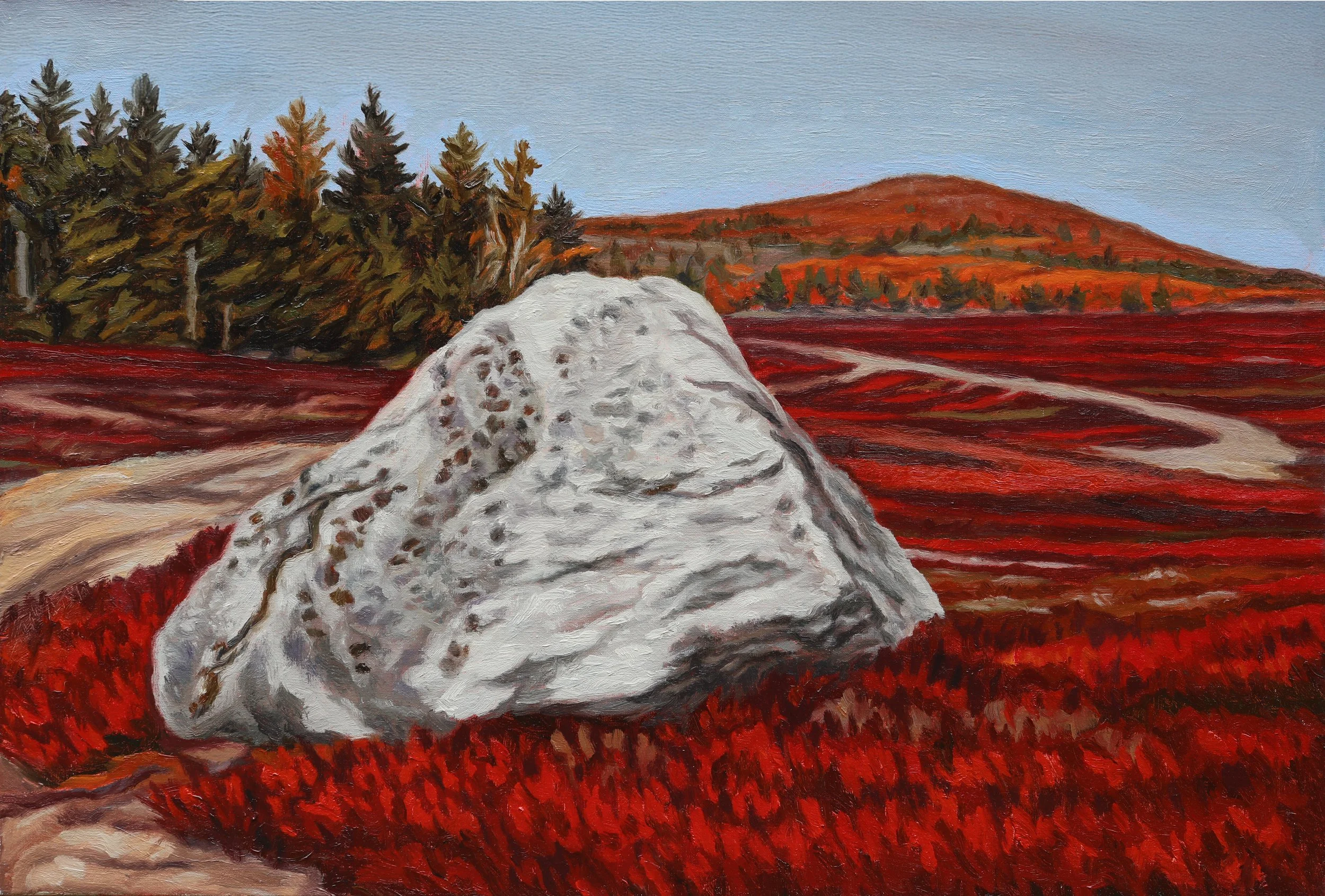 Boulder in Blueberry Barrens, oil on linen, 30" x 20", $750