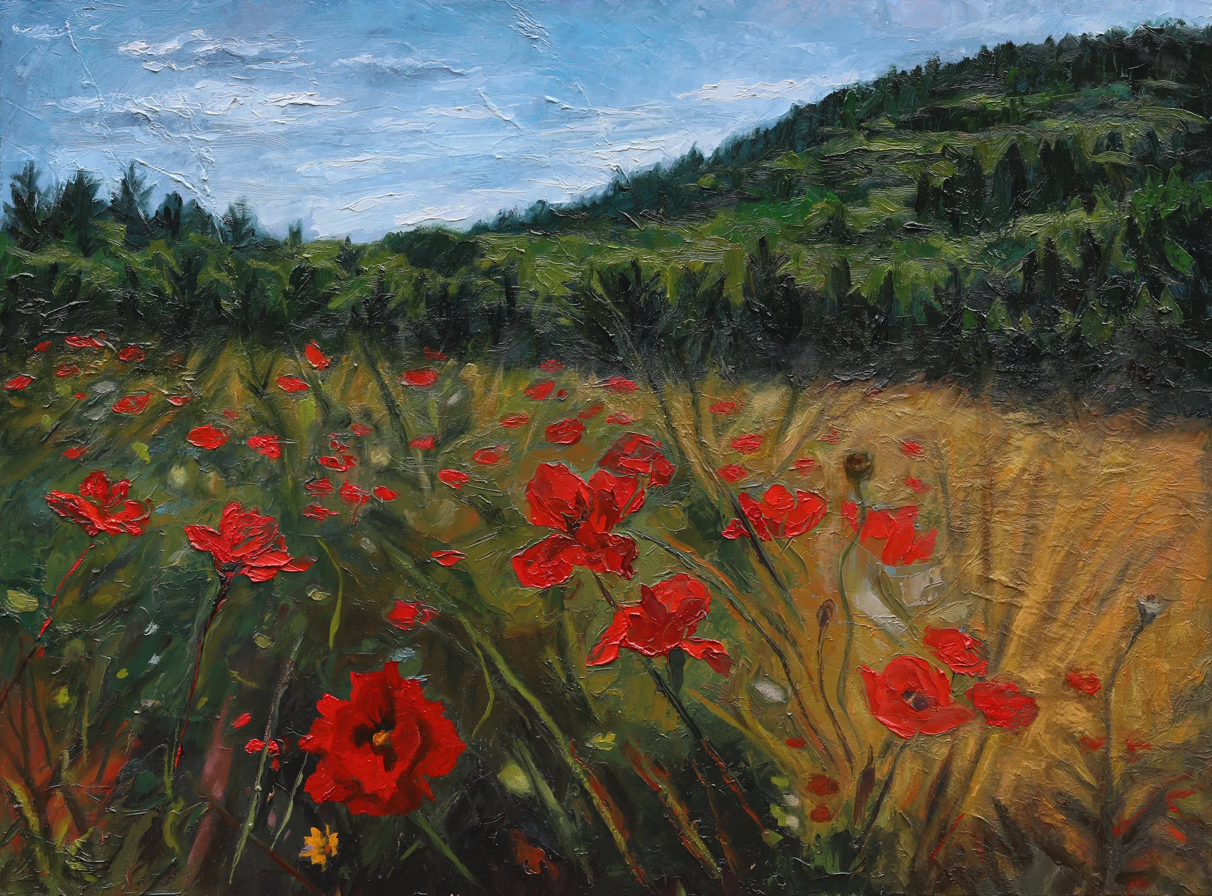 Poppy Field and Mountain, oil on linen, 40" x 30", $1,000