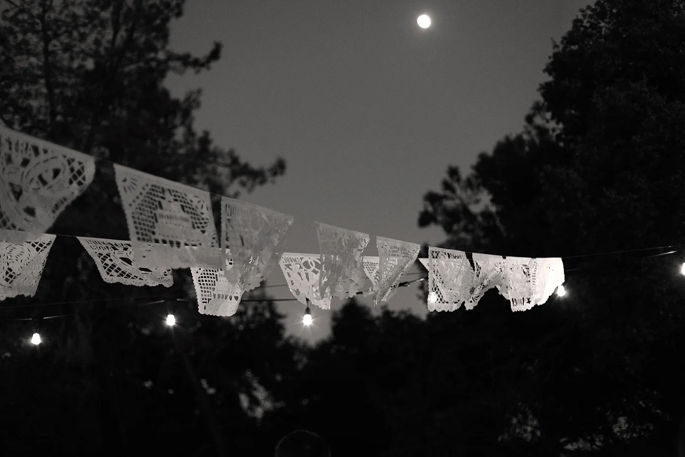 KVP_8427_BW.jpg