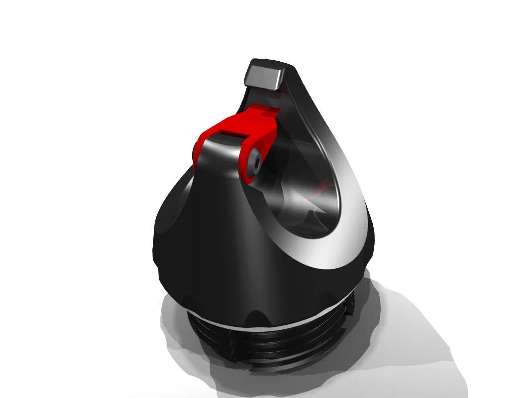 SIGG cap 3.jpg