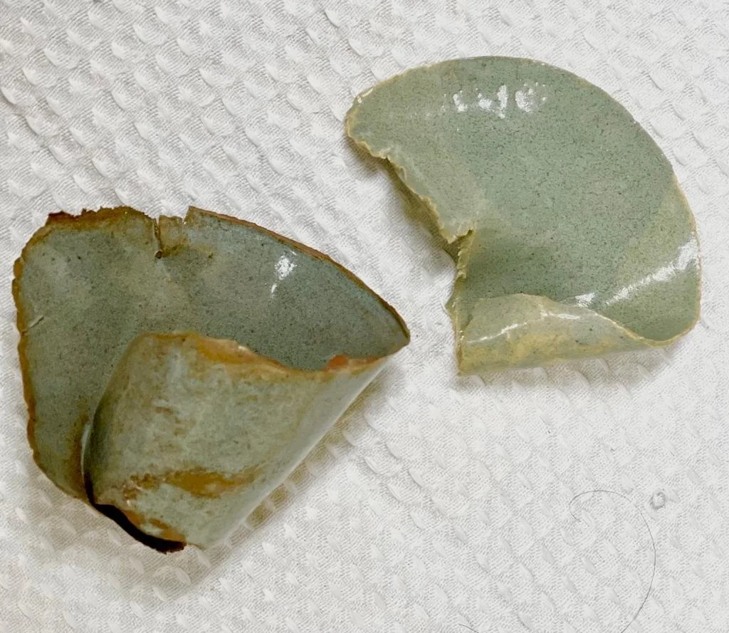 WhatsApp Image 2023-01-10 at 11.45.11 AM.jpeg