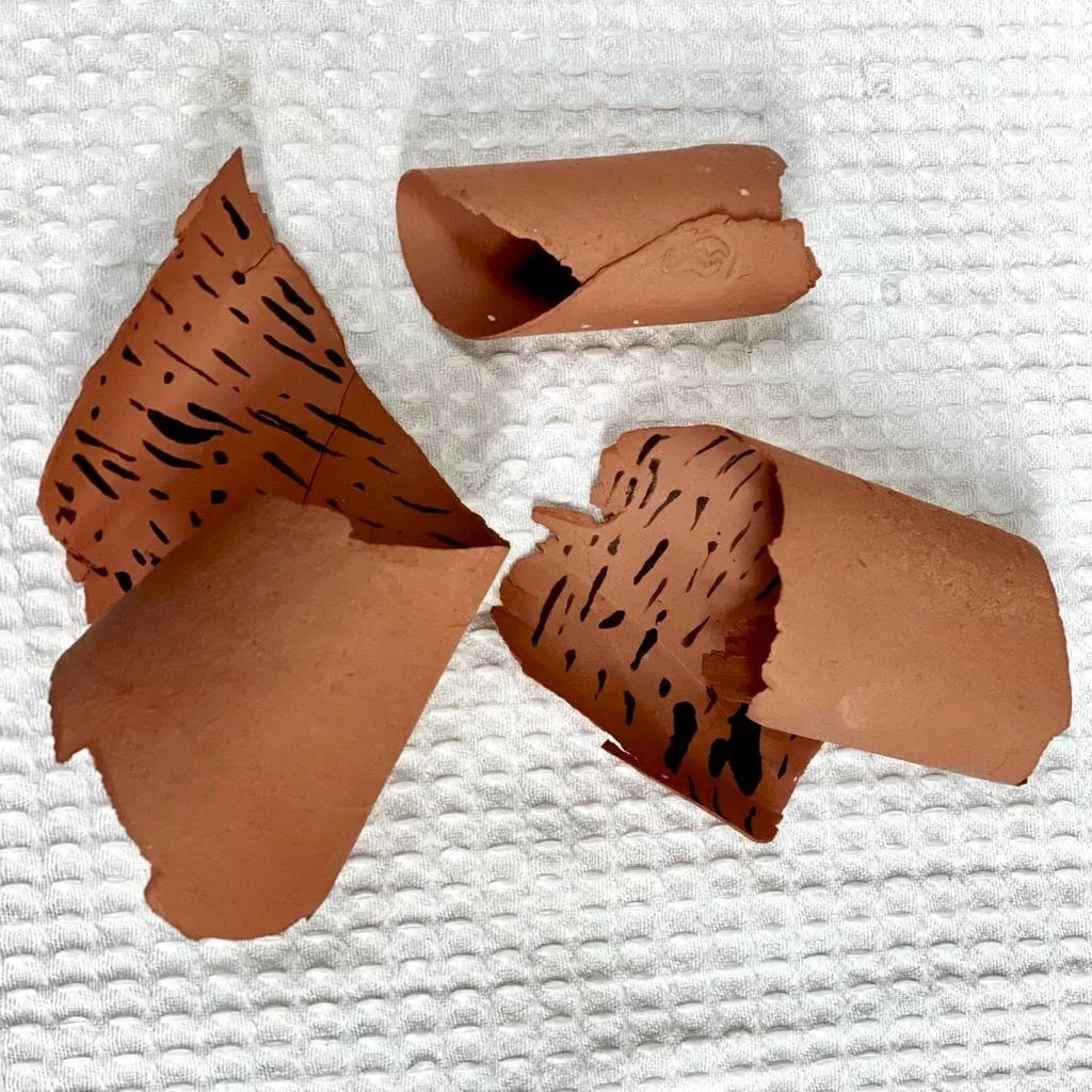 WhatsApp Image 2023-01-10 at 11.45.10 AM (1).jpeg