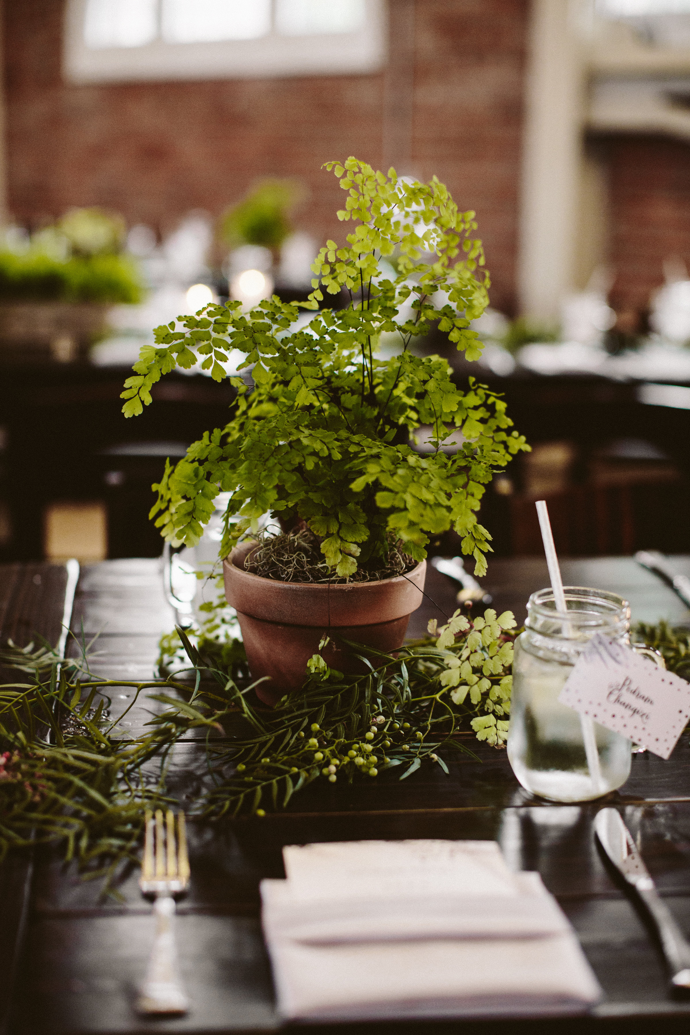 A mix of herbs, fern, and pothos plants ran down the length of each farm table.