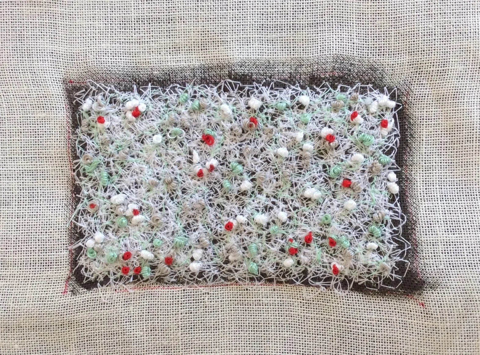 Lichen (untitled)