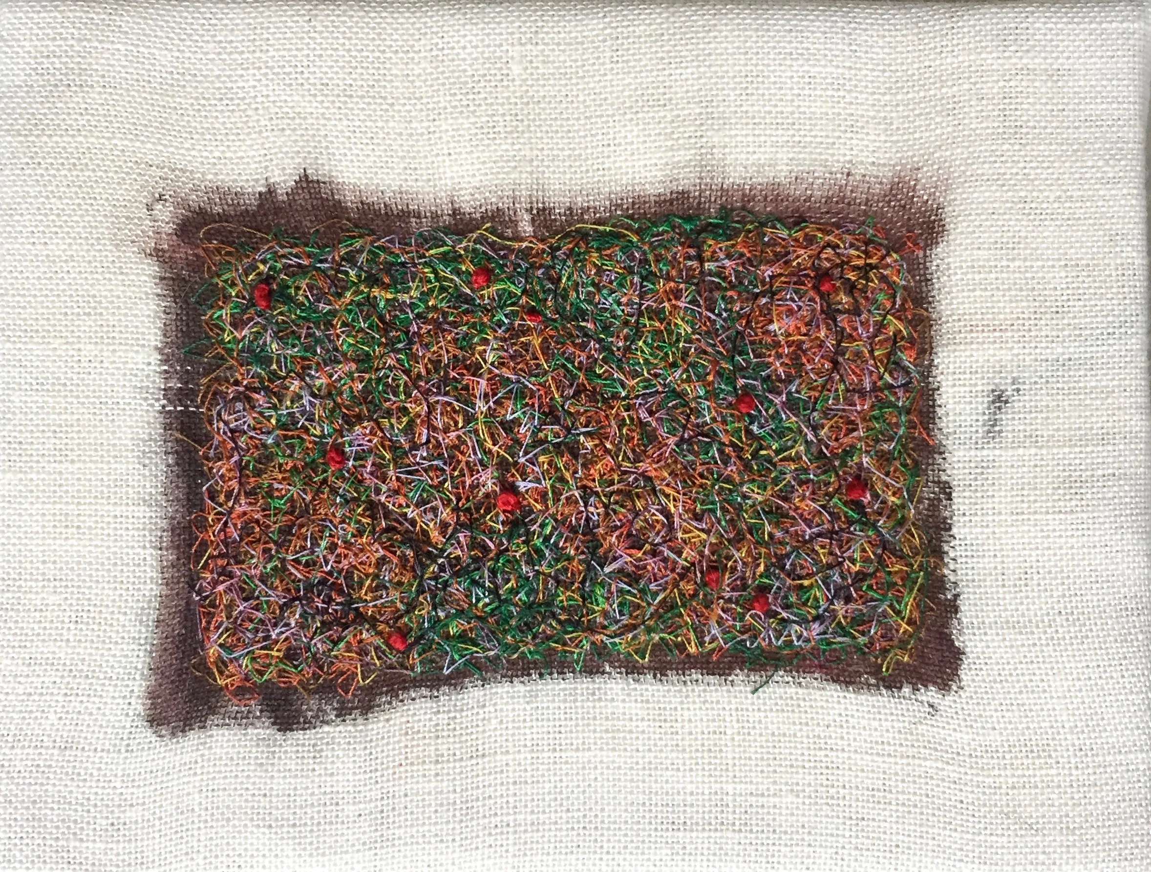 Lichen (untitled)