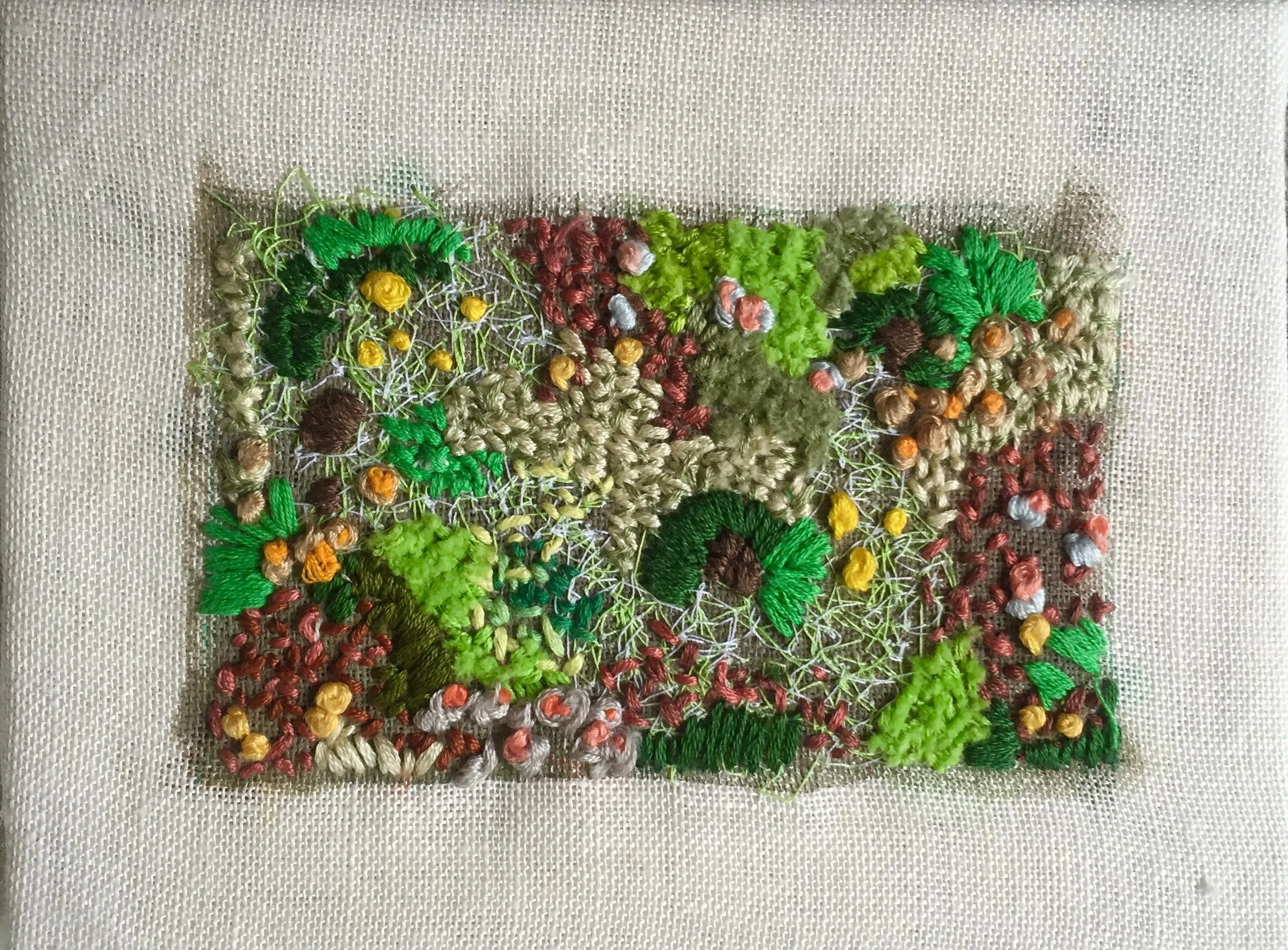 Lichen (untitled)