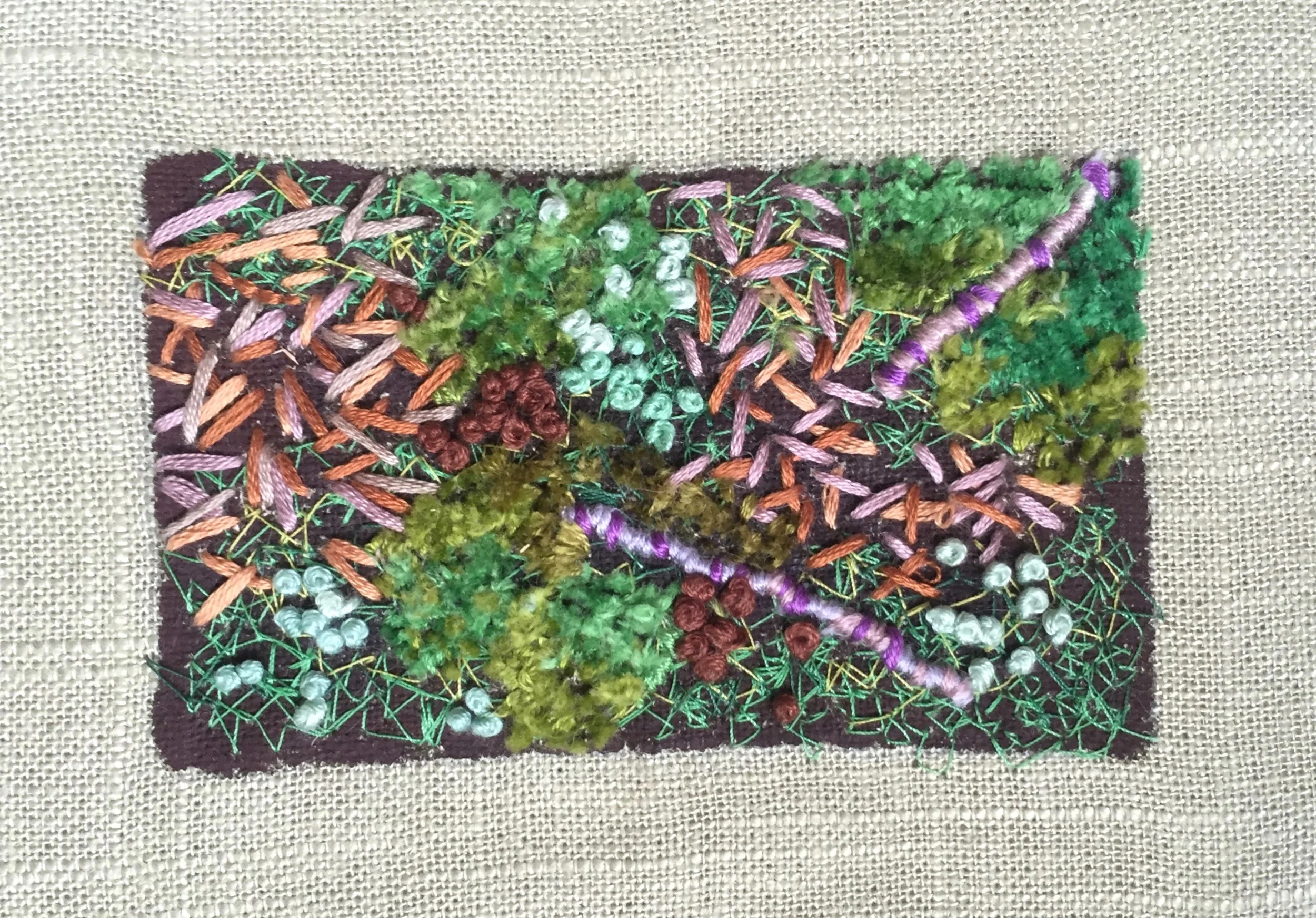 Lichen (untitled)