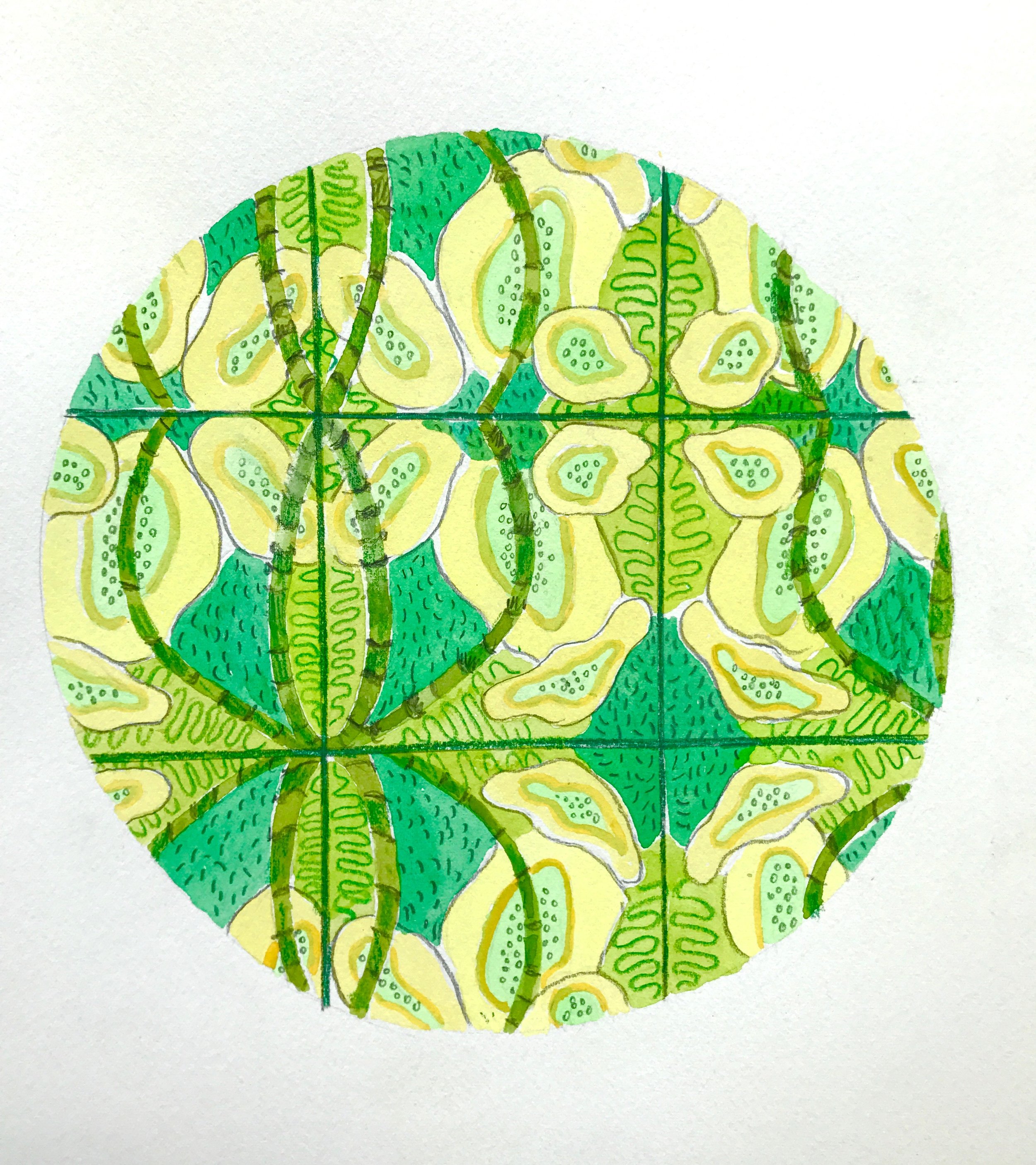 Kaleidoscopic Mandala (study)