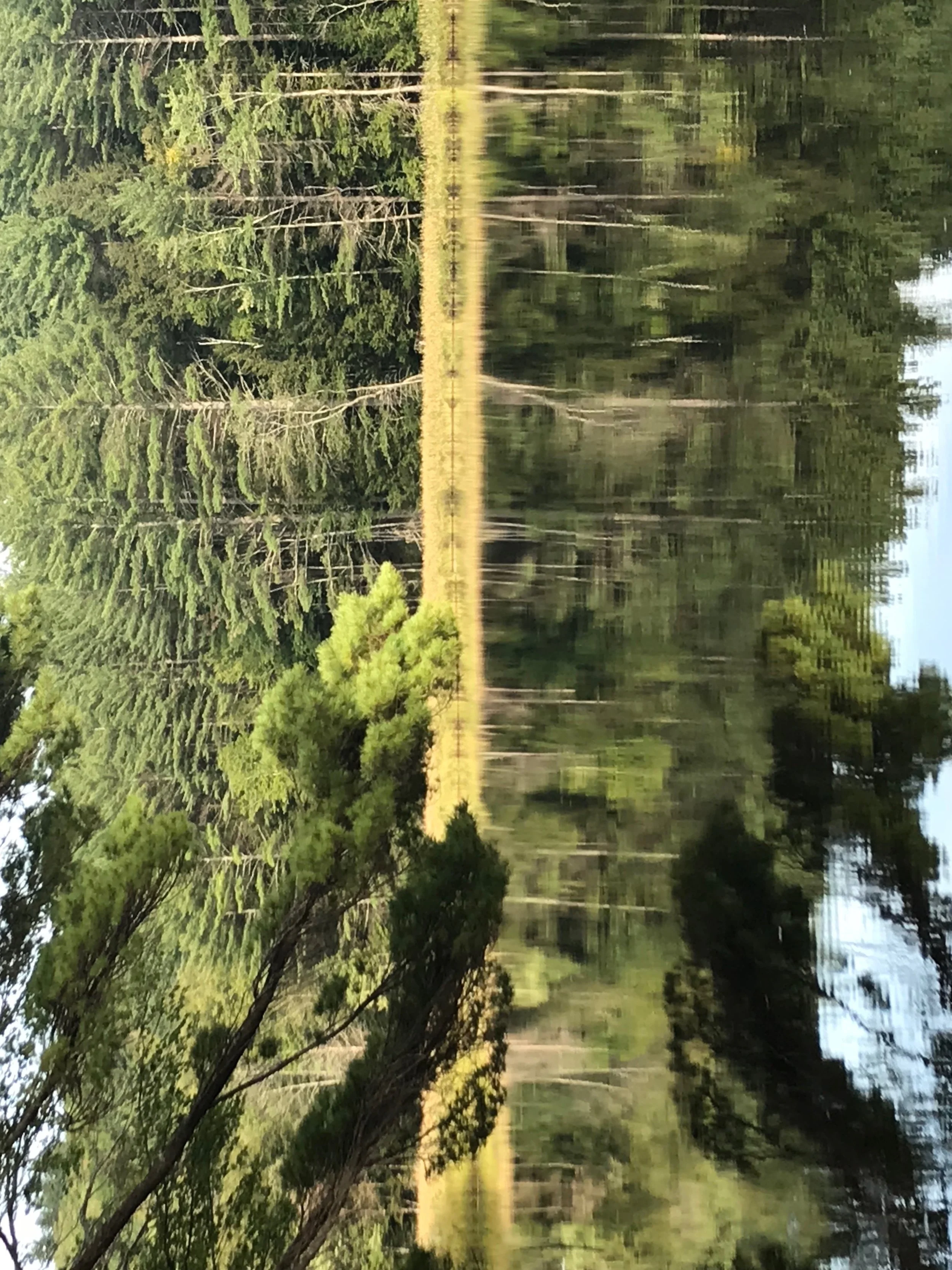 IMG_1627.jpeg