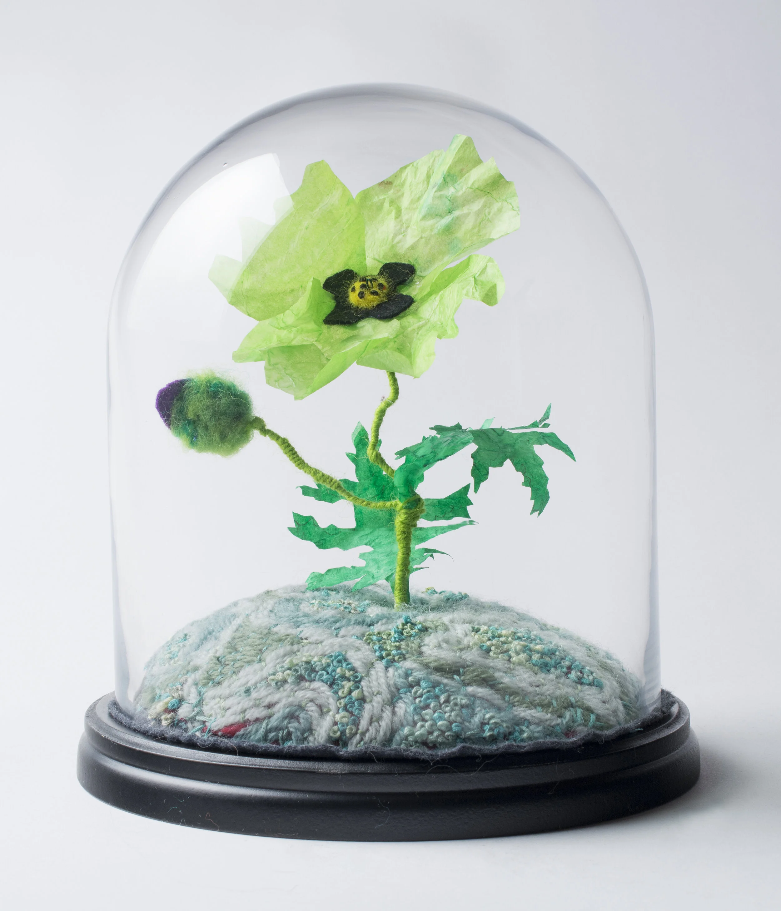 Flower Dome (untitled)