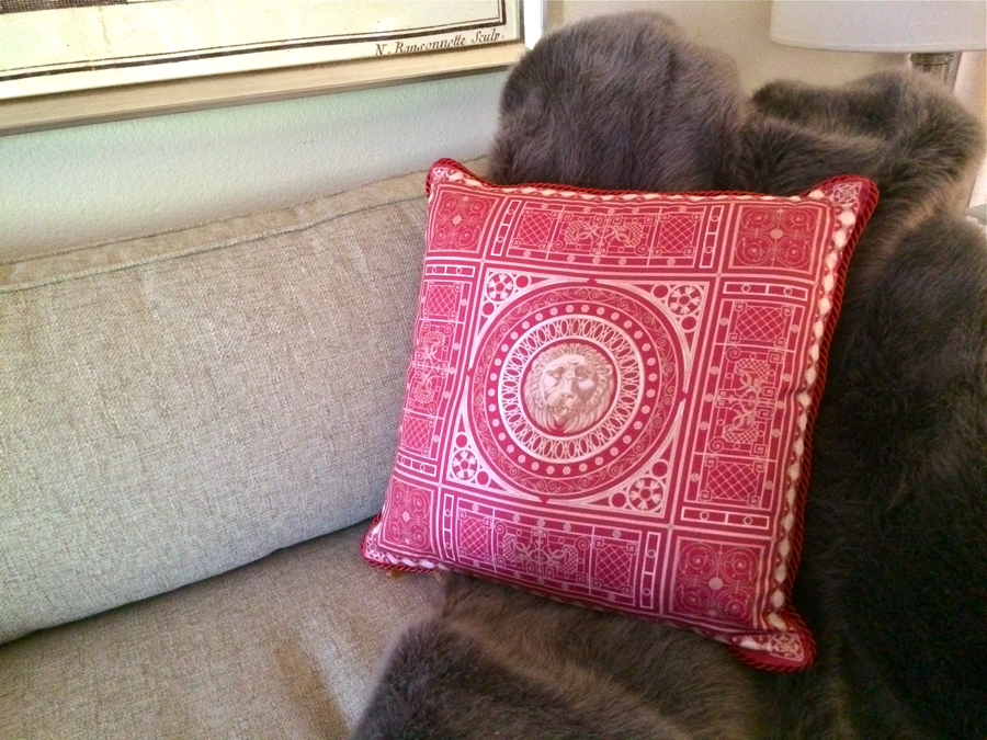 cage2etsycouch.jpg