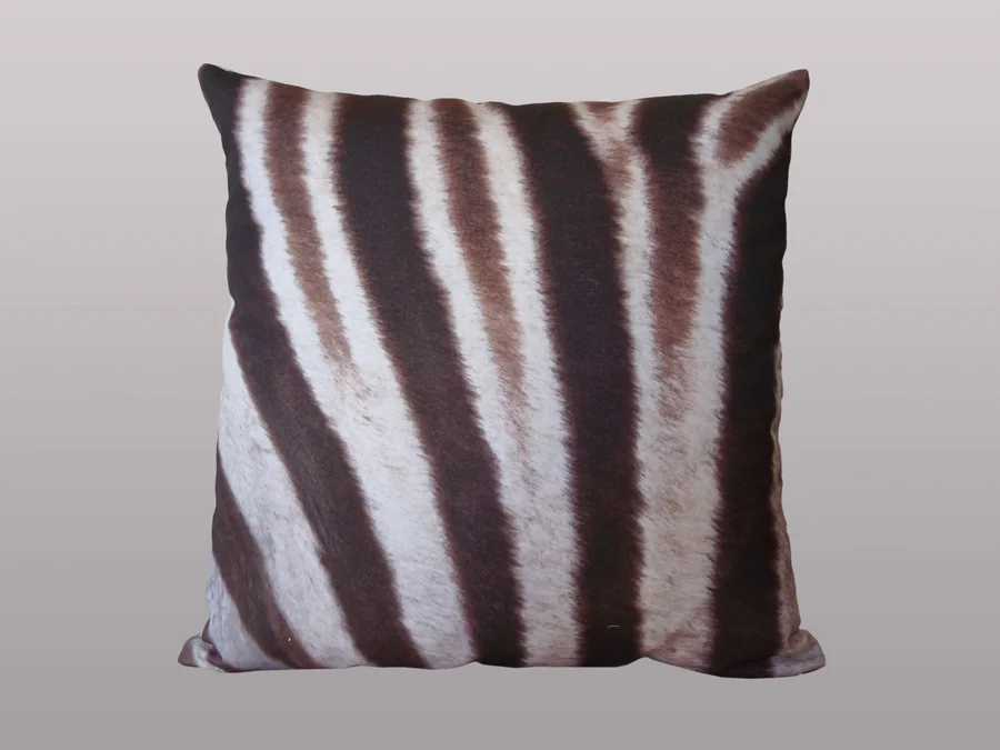 zebraweb.jpg