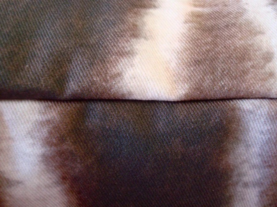 zebraetsydetail.jpg