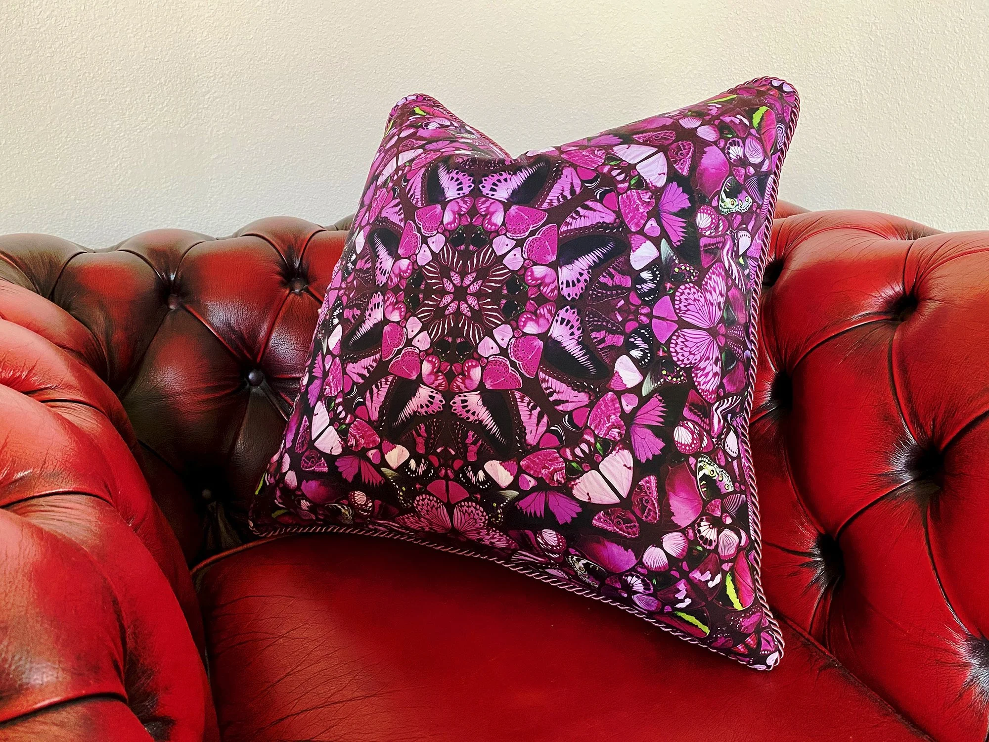 mariposapinksofa.jpg