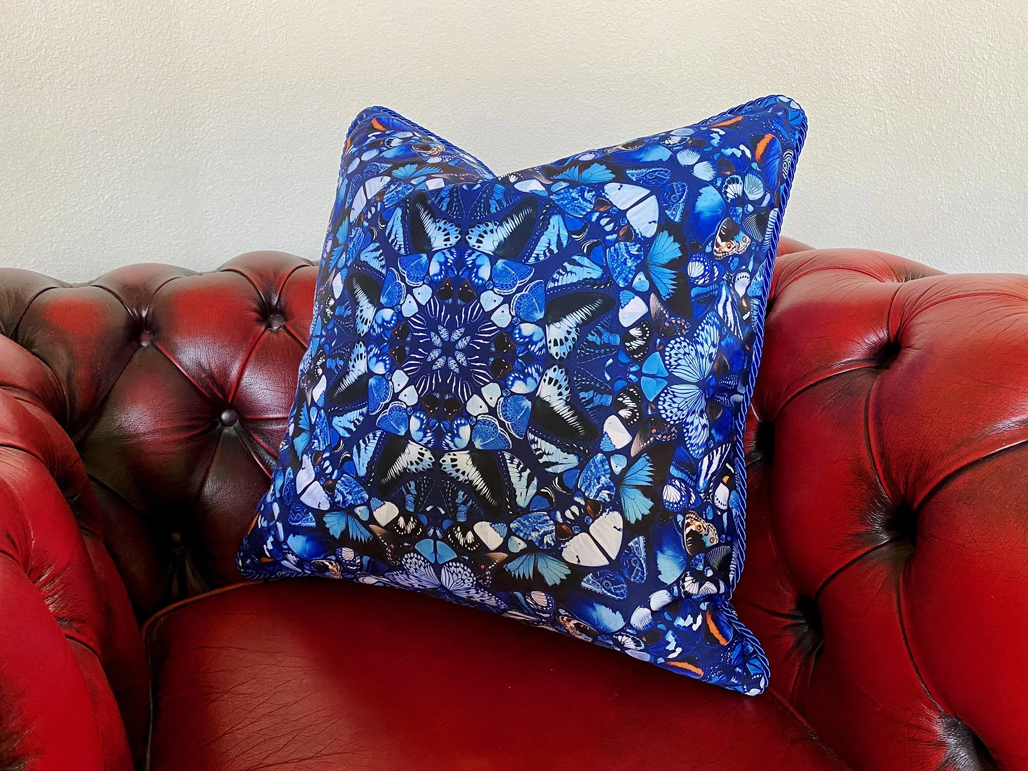 mariposabluesofa.jpg