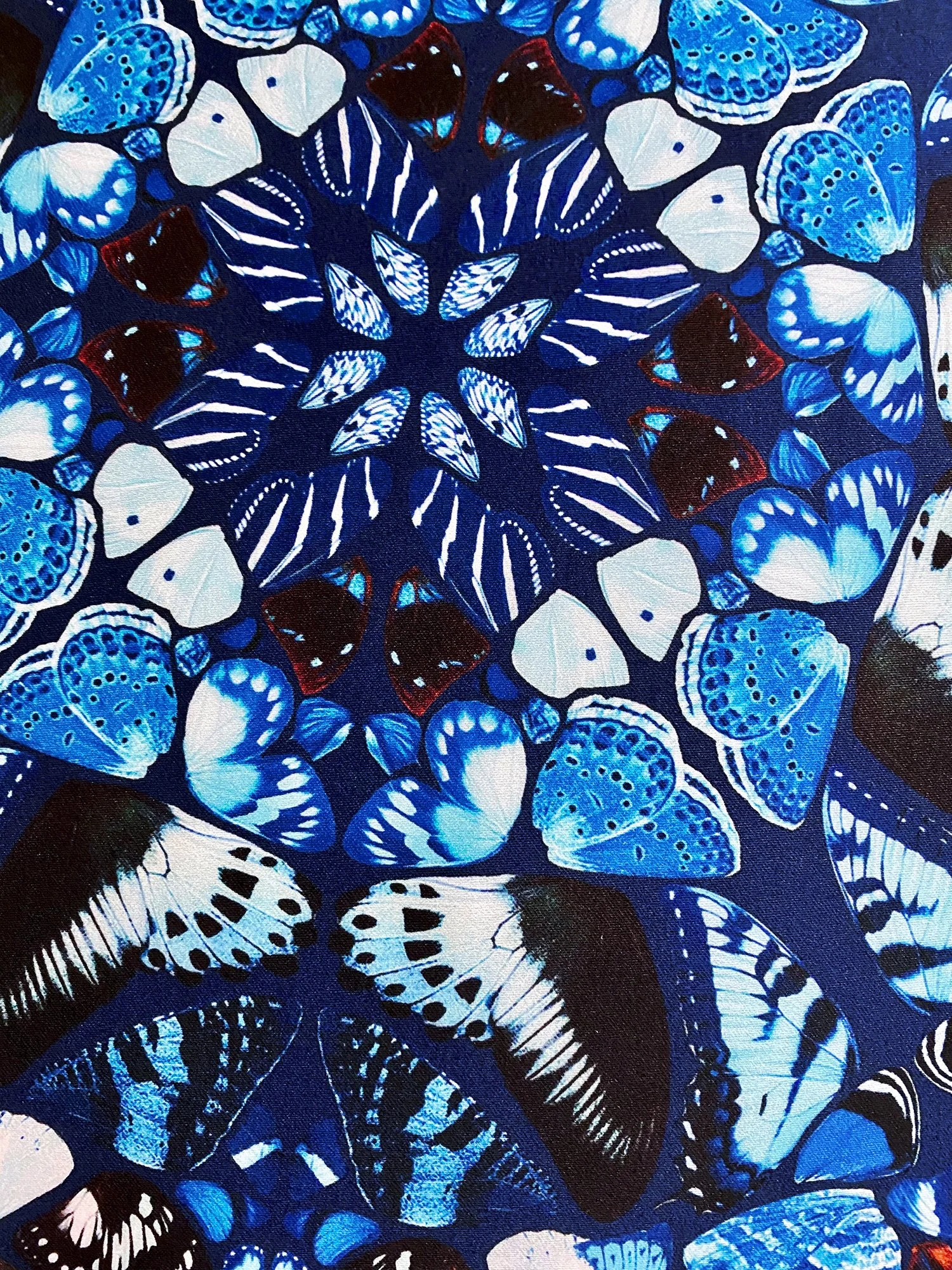mariposabluedetail2.jpg