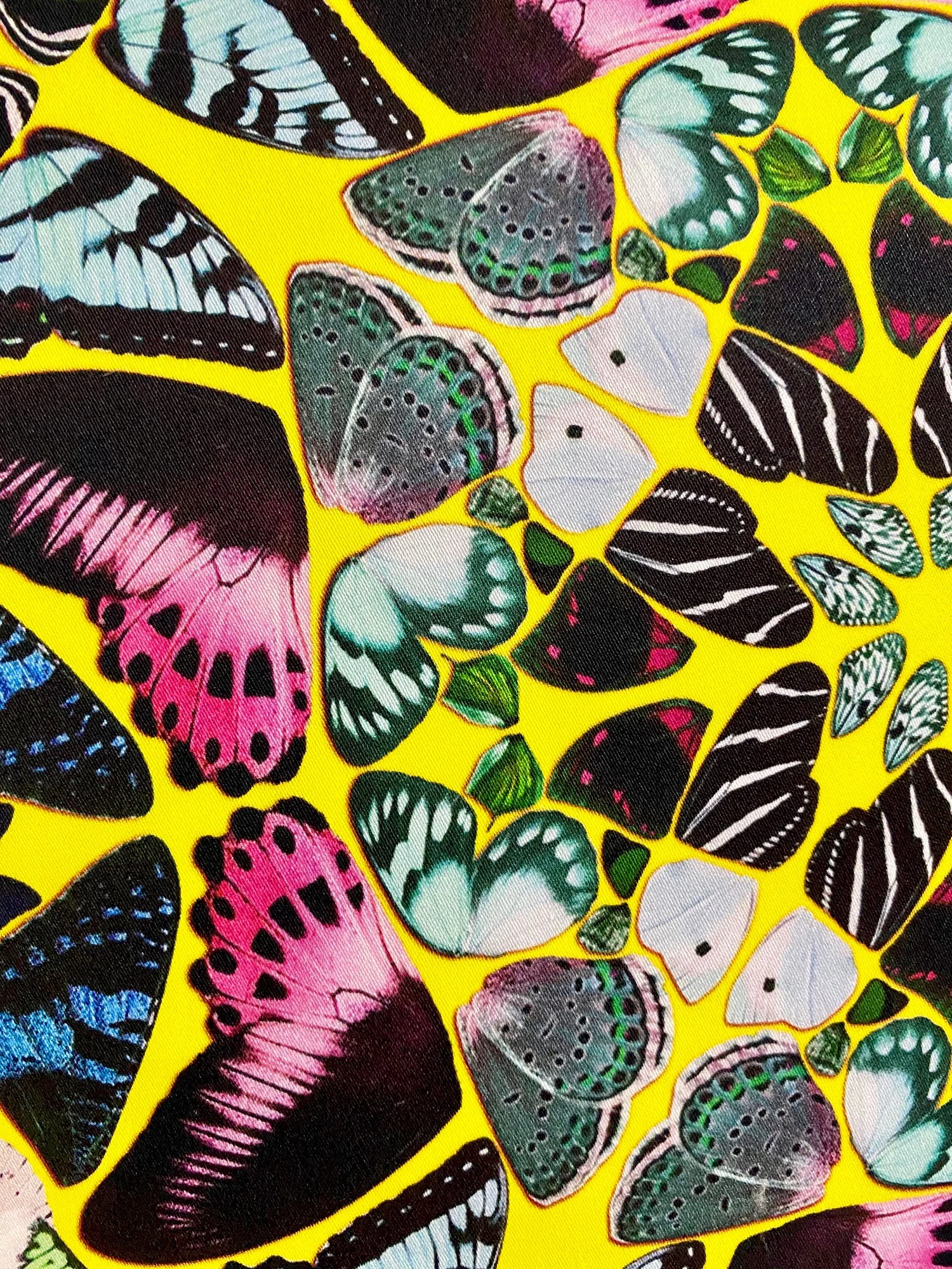 mariposayellowmultidetail2.jpg