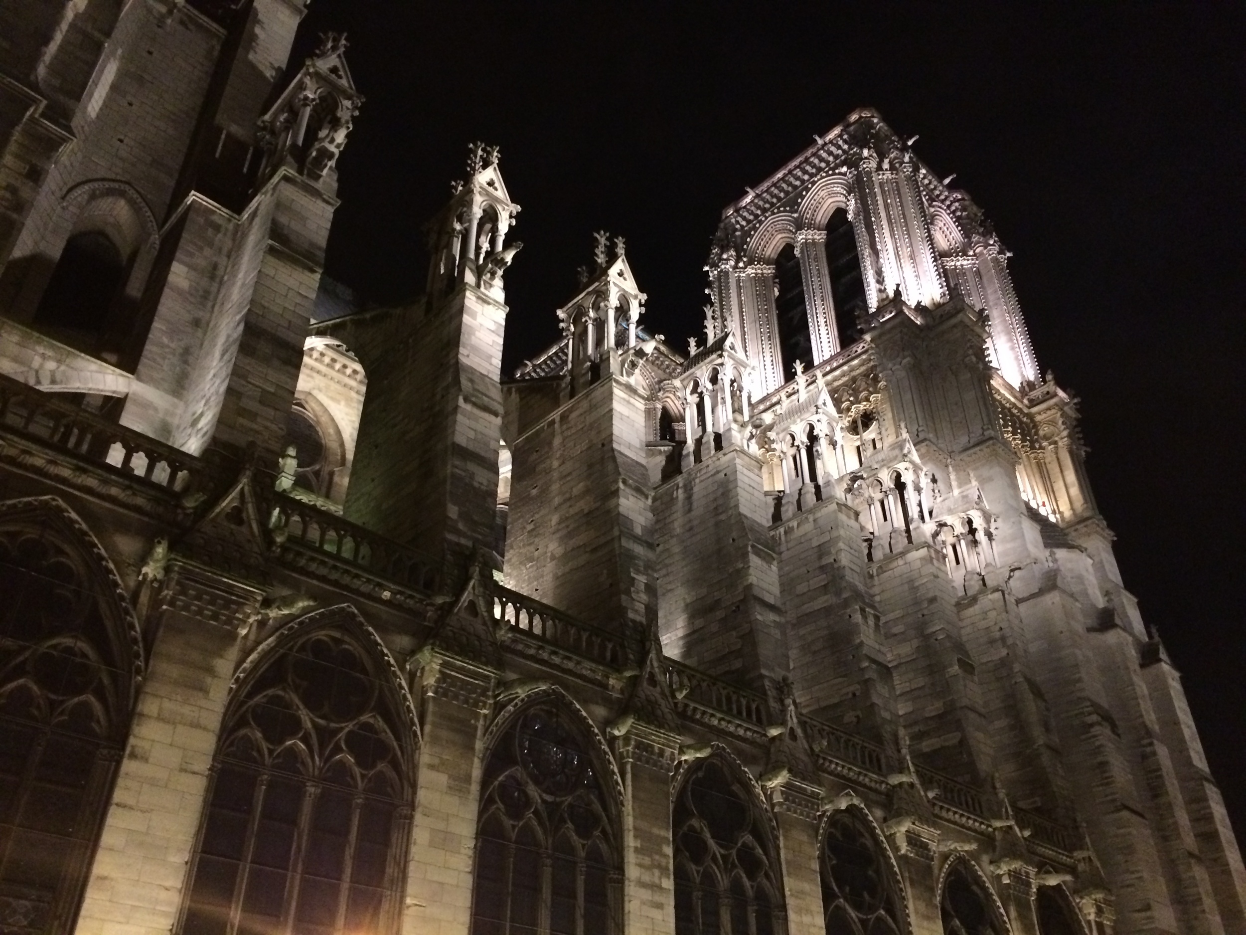 Notre Dame on a beautiful evening