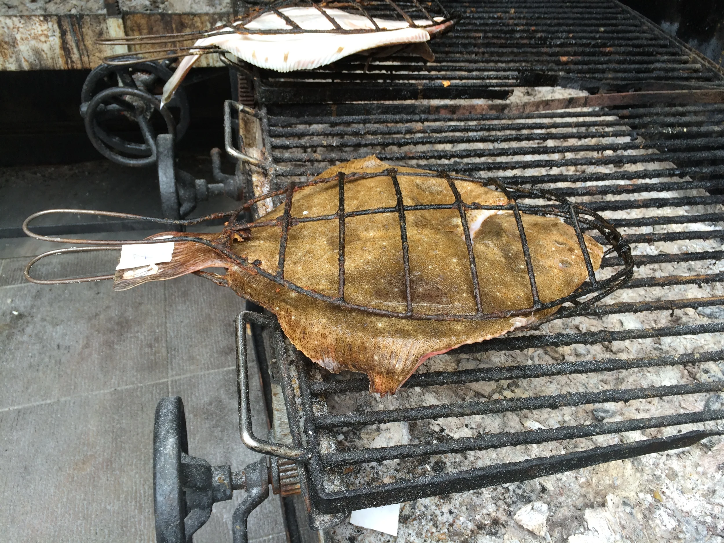 Whole grilled turbot