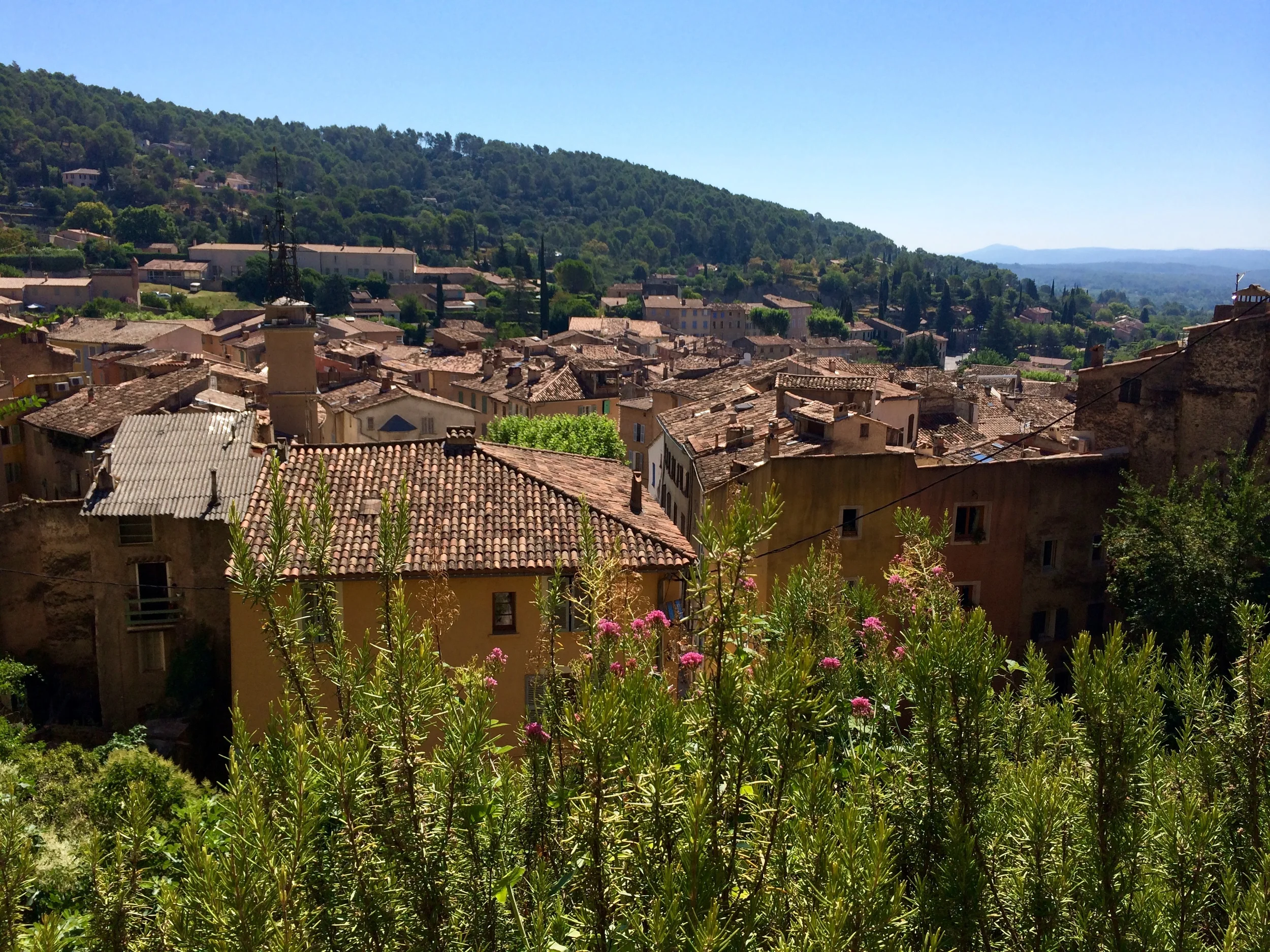 Rooftops in Cotignac