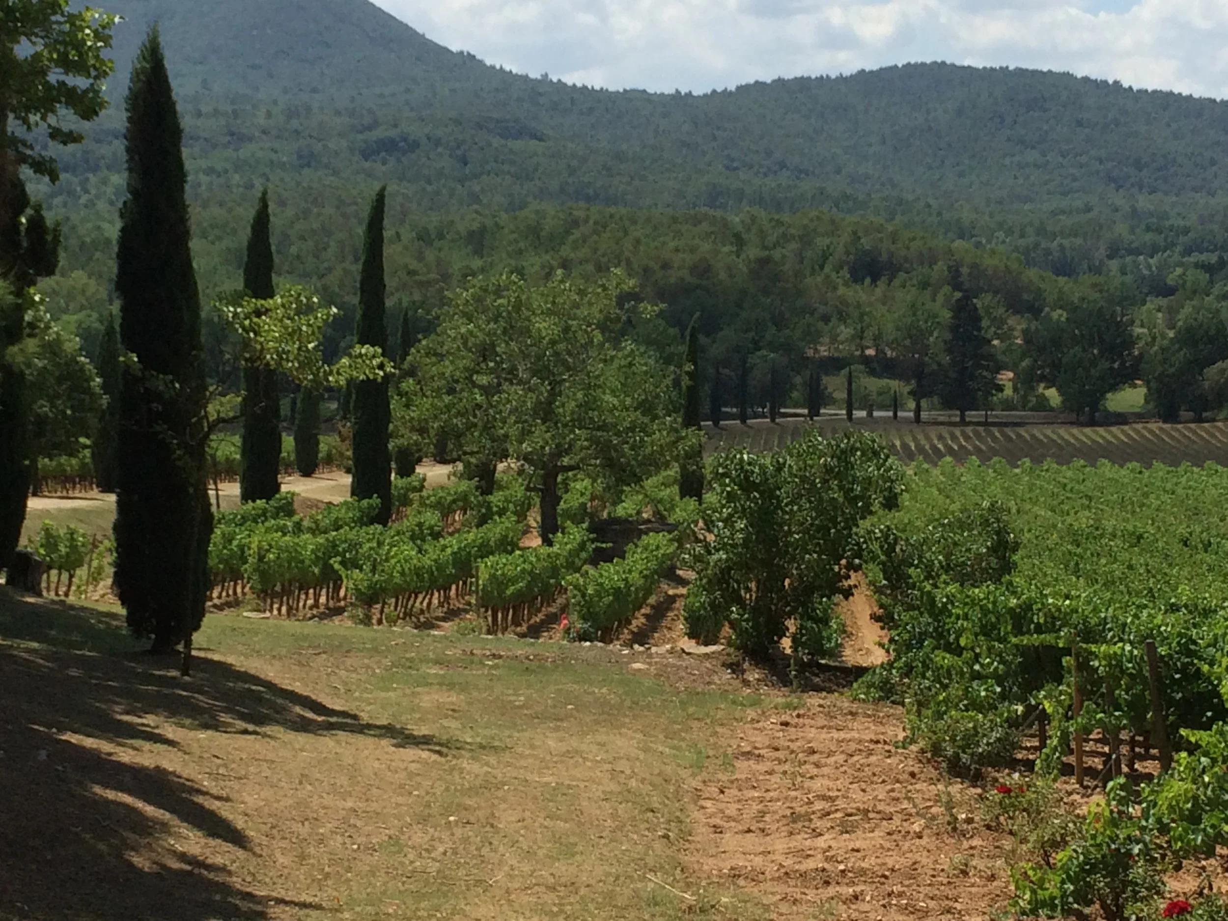 At Chateau La Calisse