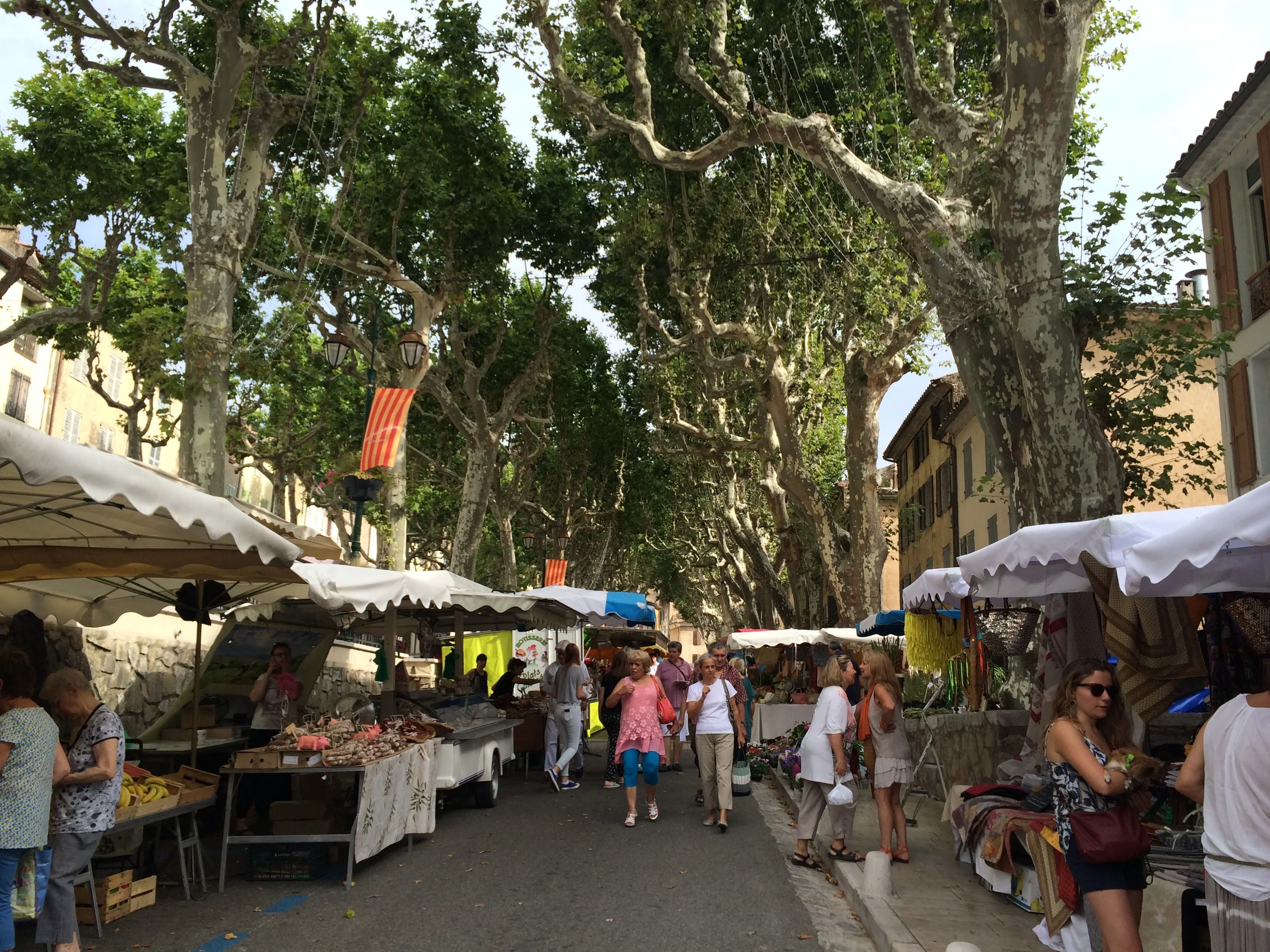 Market Day in Cotignac