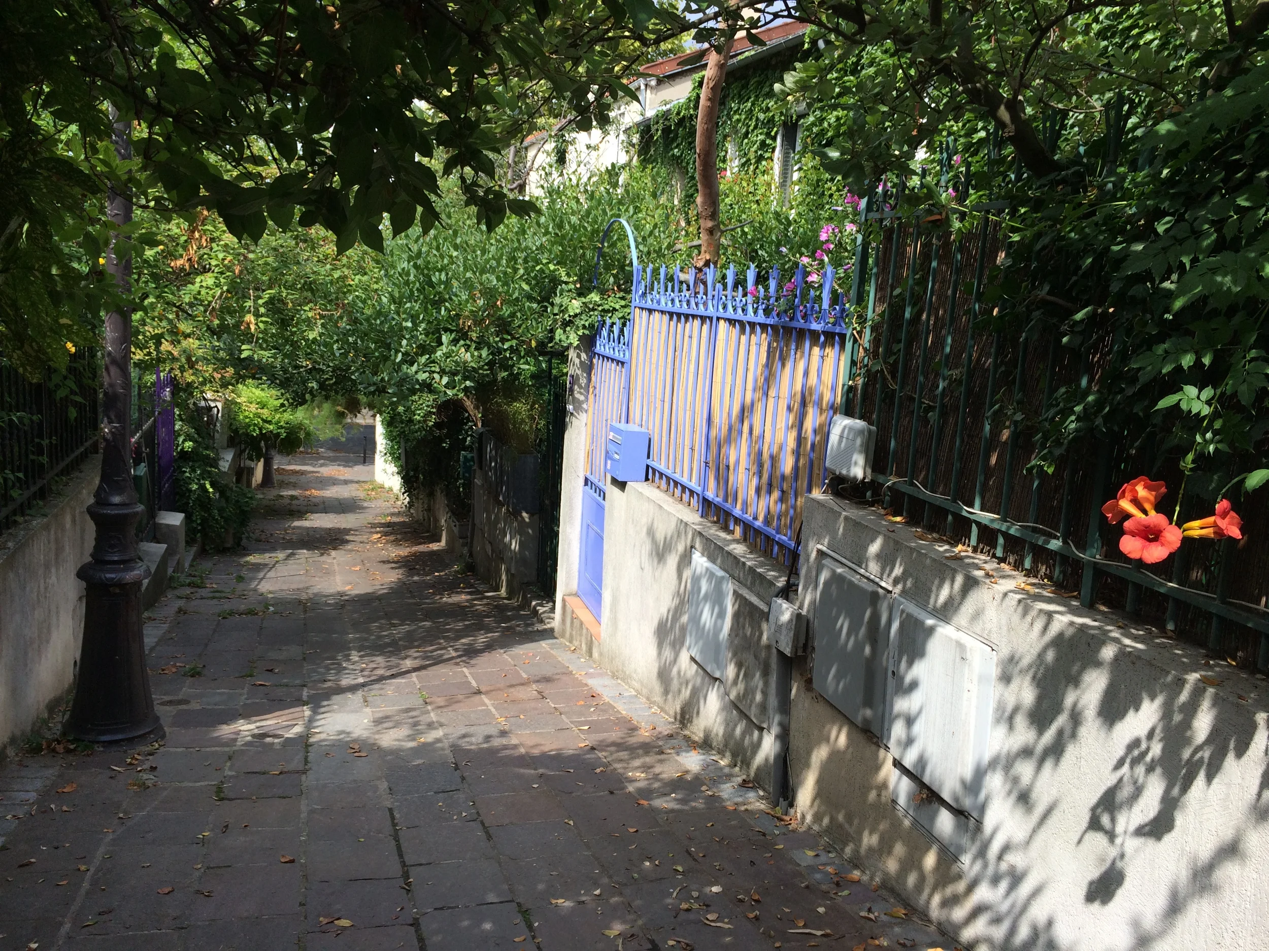 On Villa du Progés - I think this was my favorite street