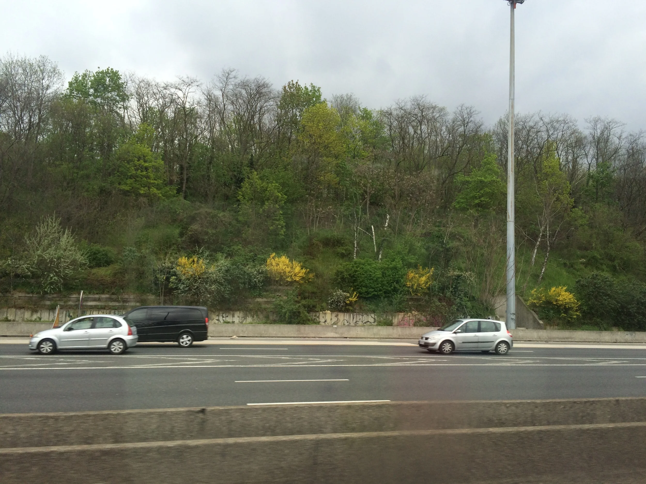 Signs of Spring!