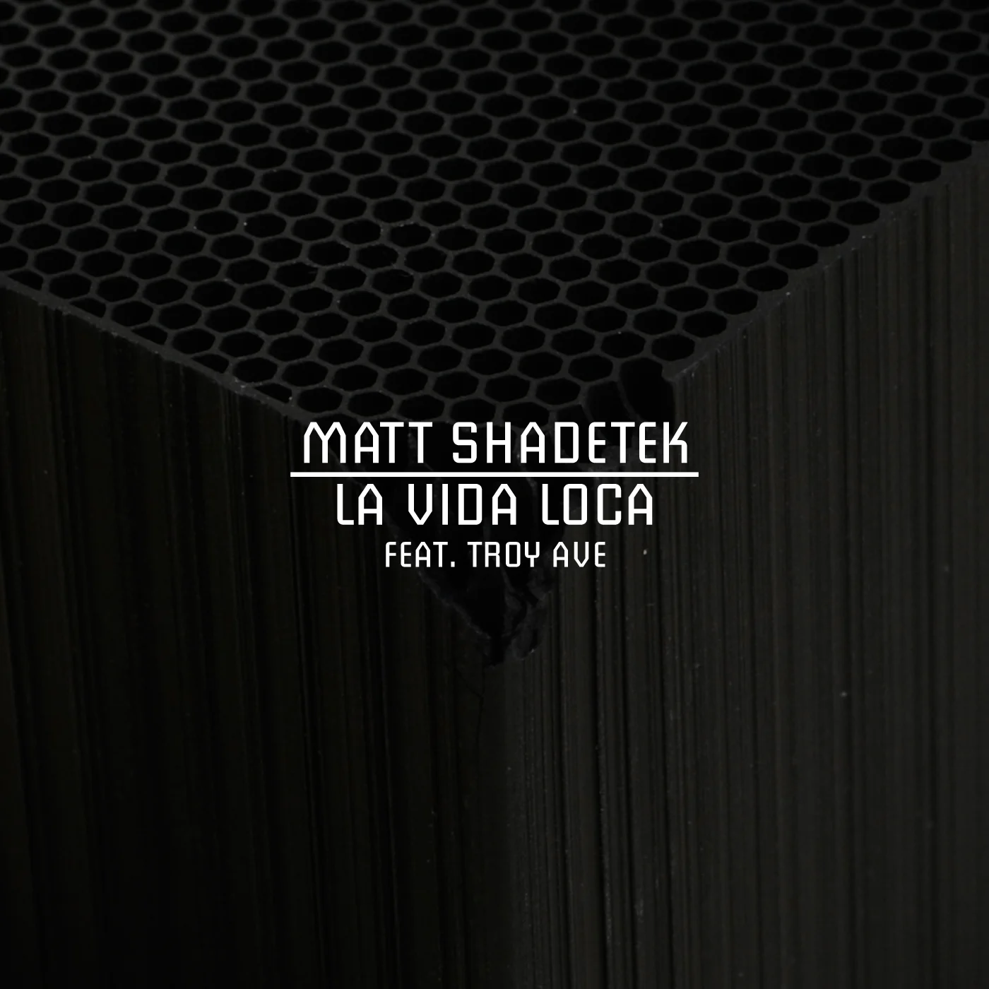 Matt Shadetek feat. Troy Ave. - La Vida Loca