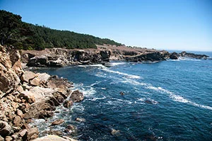 saltpointpark1.jpg