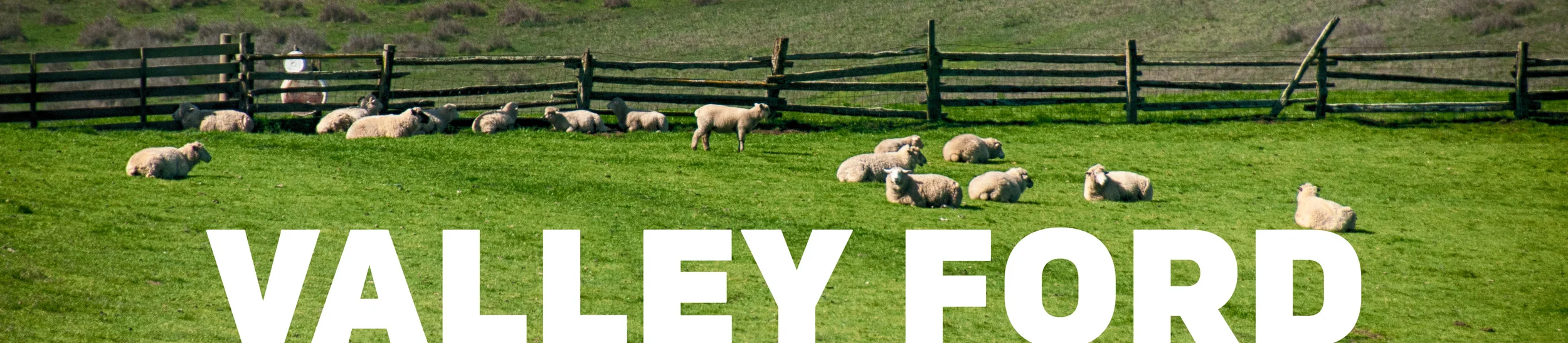 headervf1.jpg