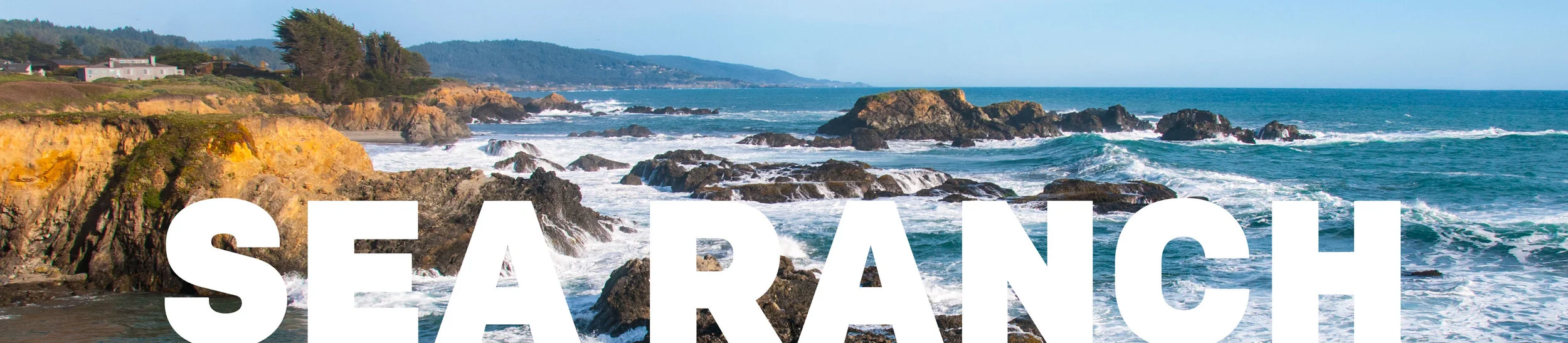 header2.jpg