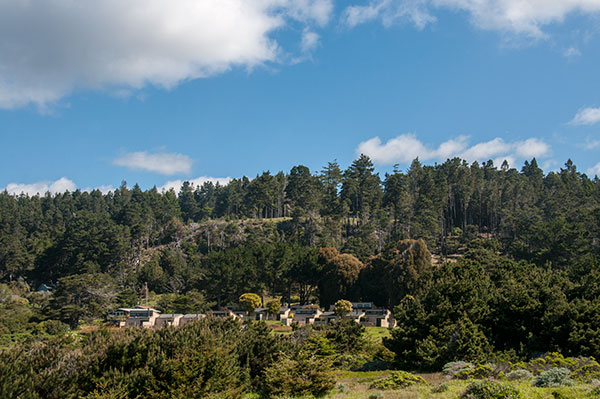 Timber Cove Forest Lined Oceanside