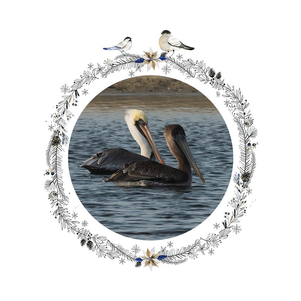pelicanornament.jpg