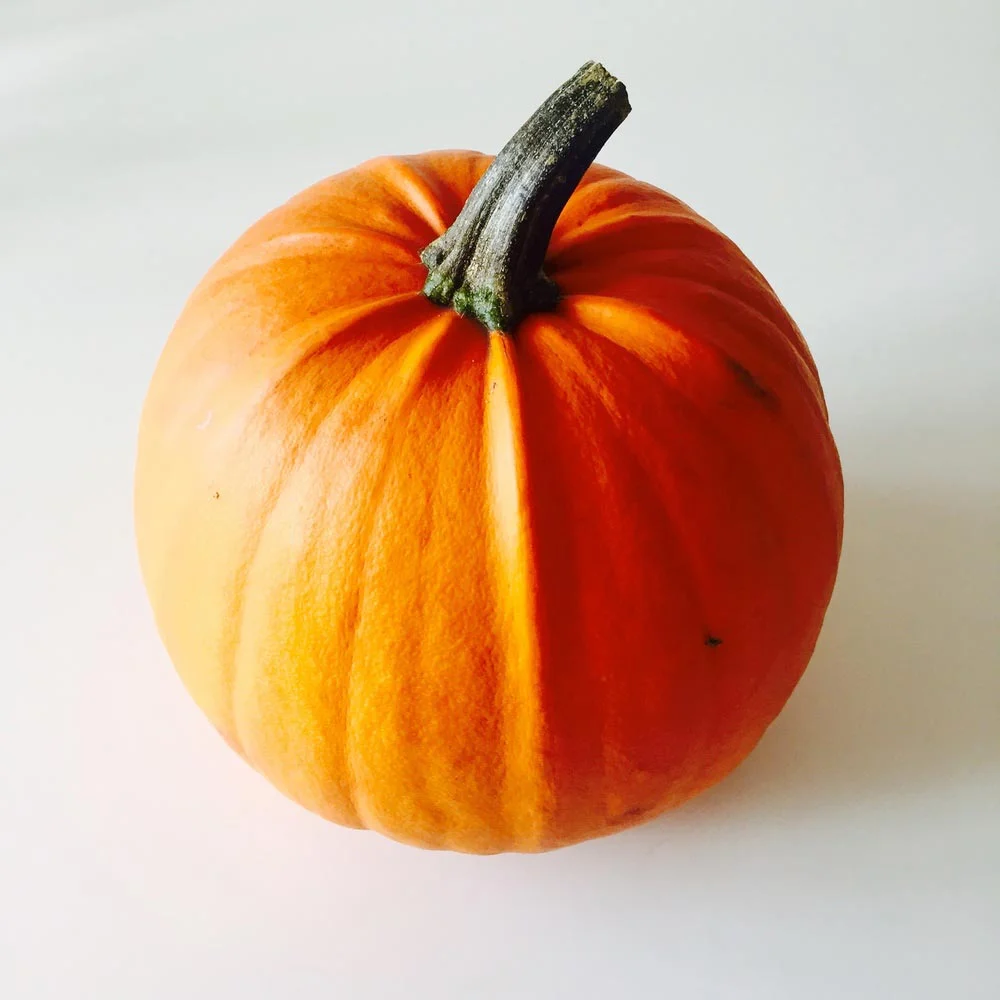 Beauty_and_the_nature_pumpkin.jpg