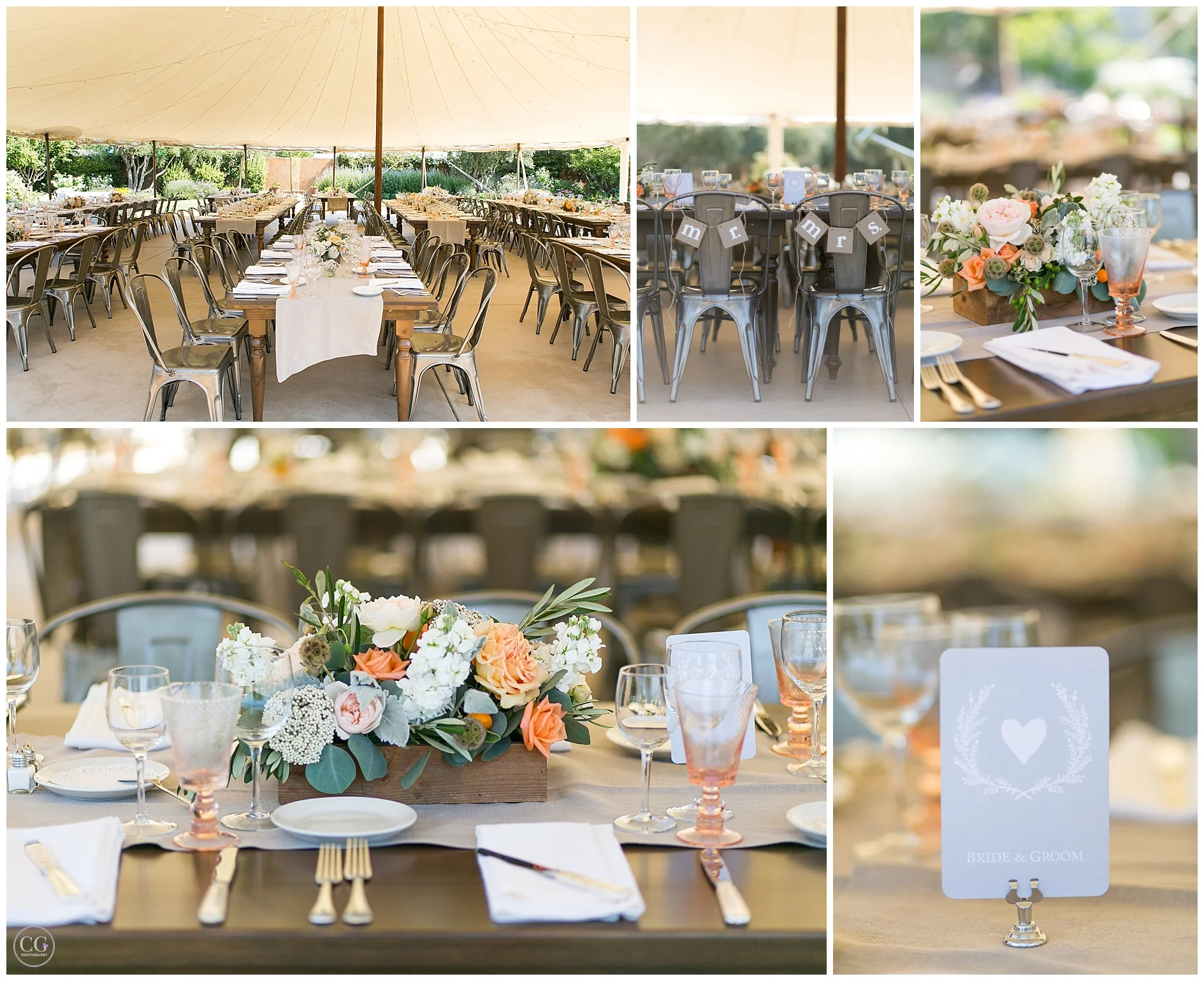 Ray & Lauren Wedding-687