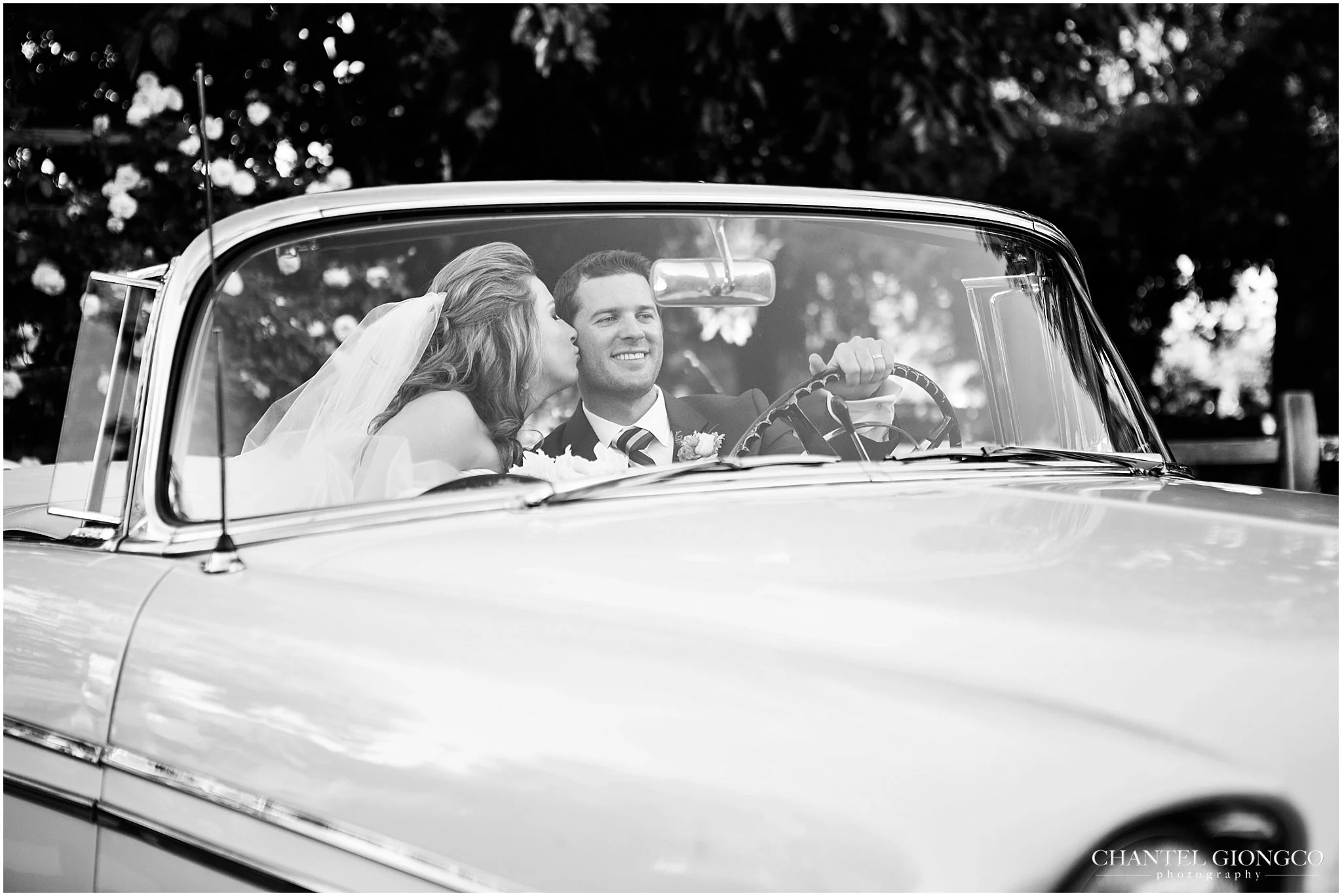 {Lauren & Matthew} V. Sattui, St. Helena