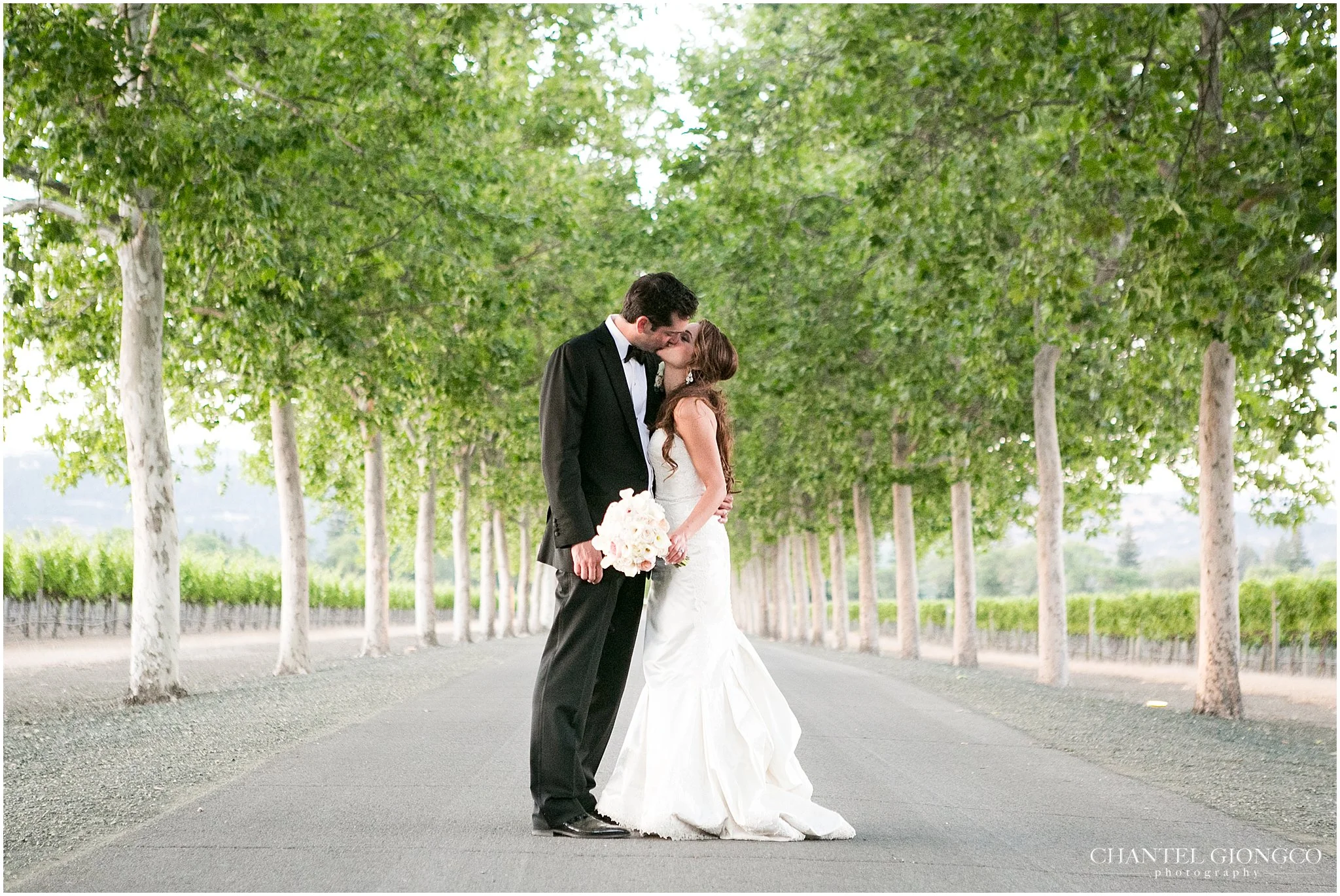 {Melissa + Sam} Beaulieu Vineyard, Rutherford