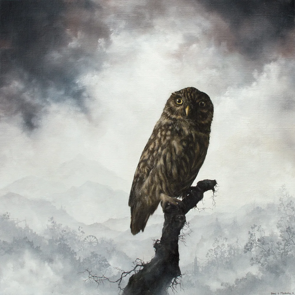 little owl
