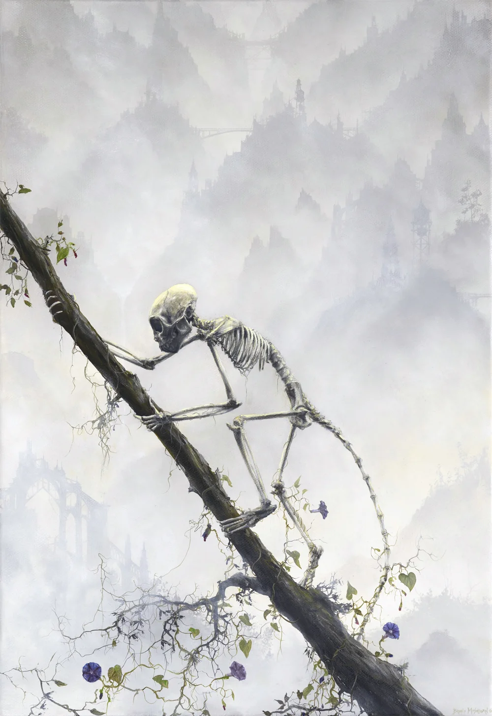 Capuchin Monkey