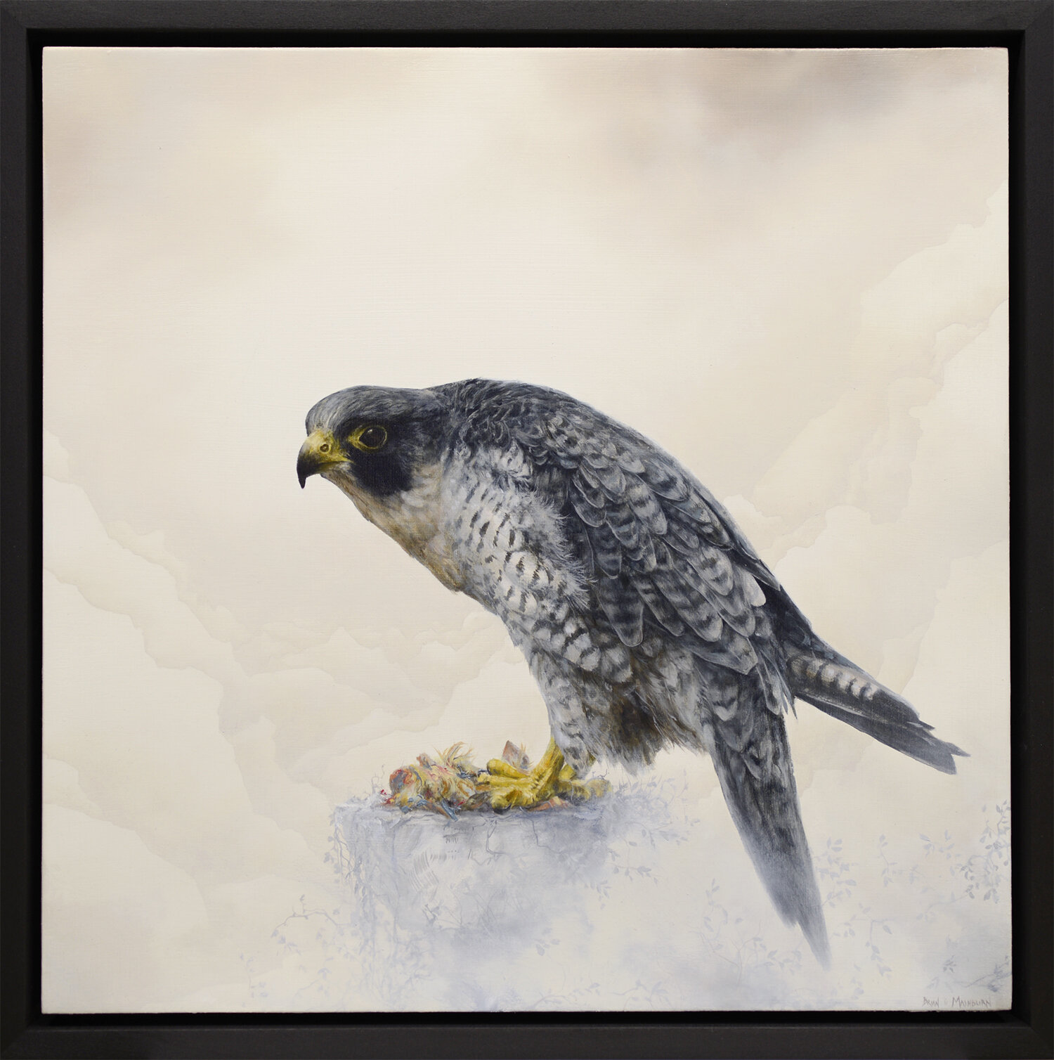 peregrine falcon w/ amputated wing