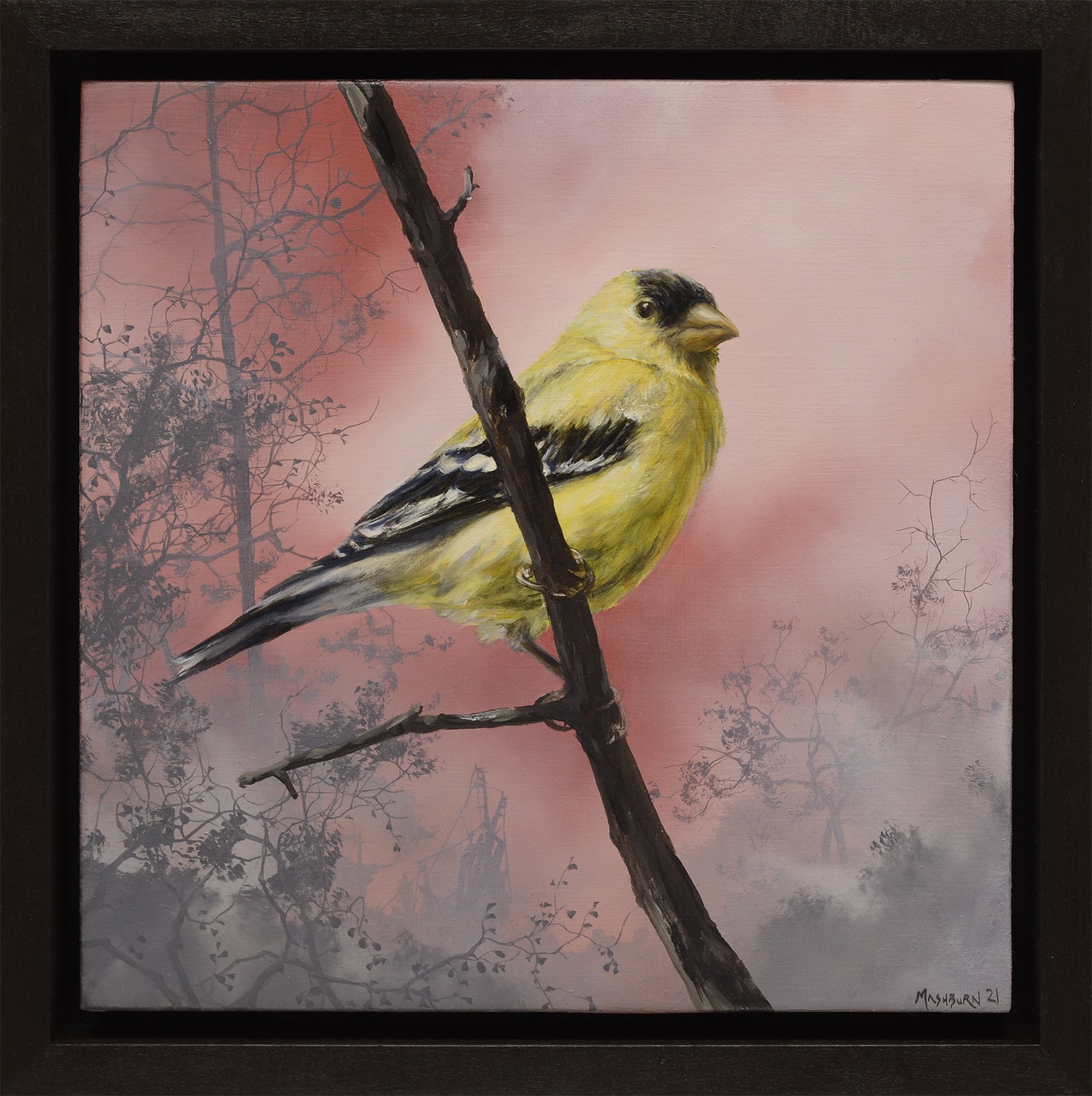 American Goldfinch