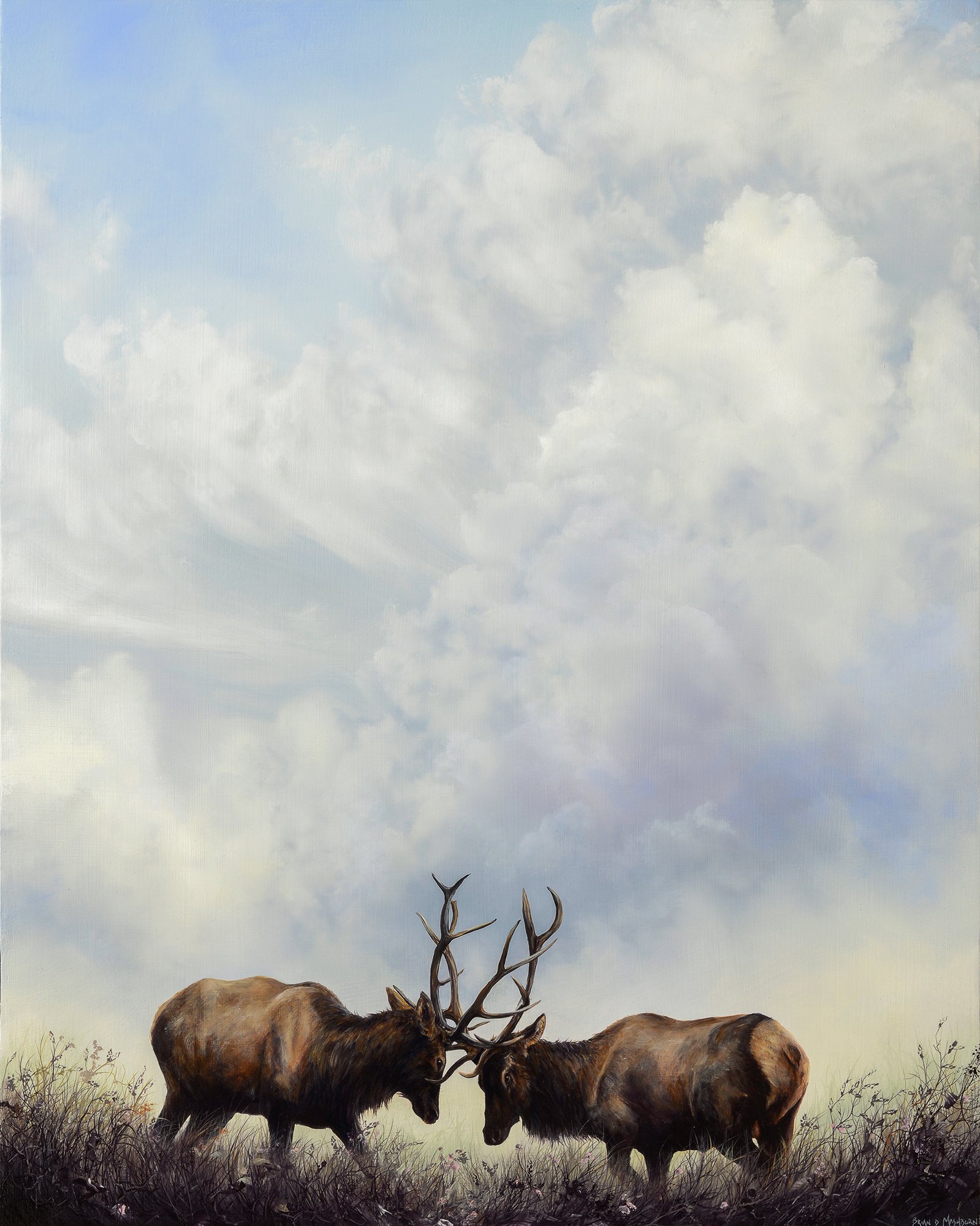 Rutting Elk