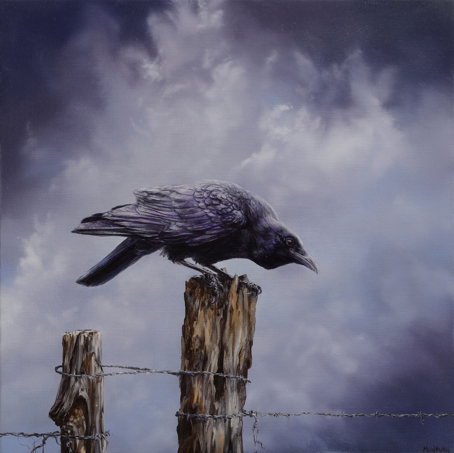 Crow Perched on a Fence Post