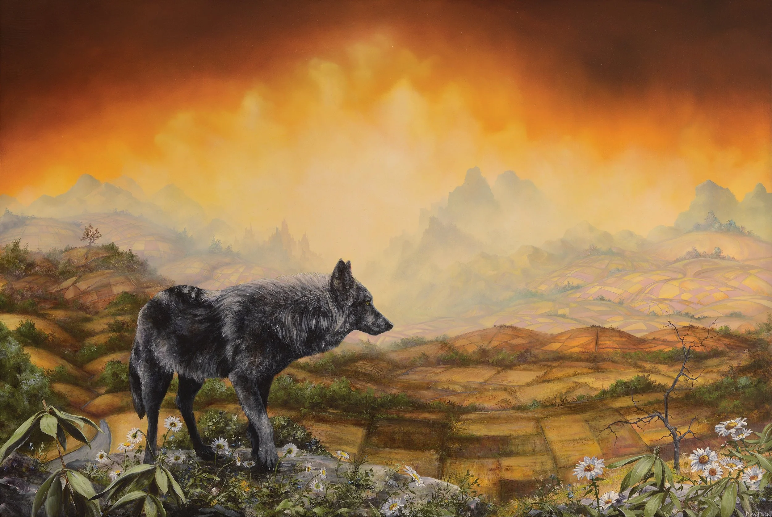 Canis Lupus